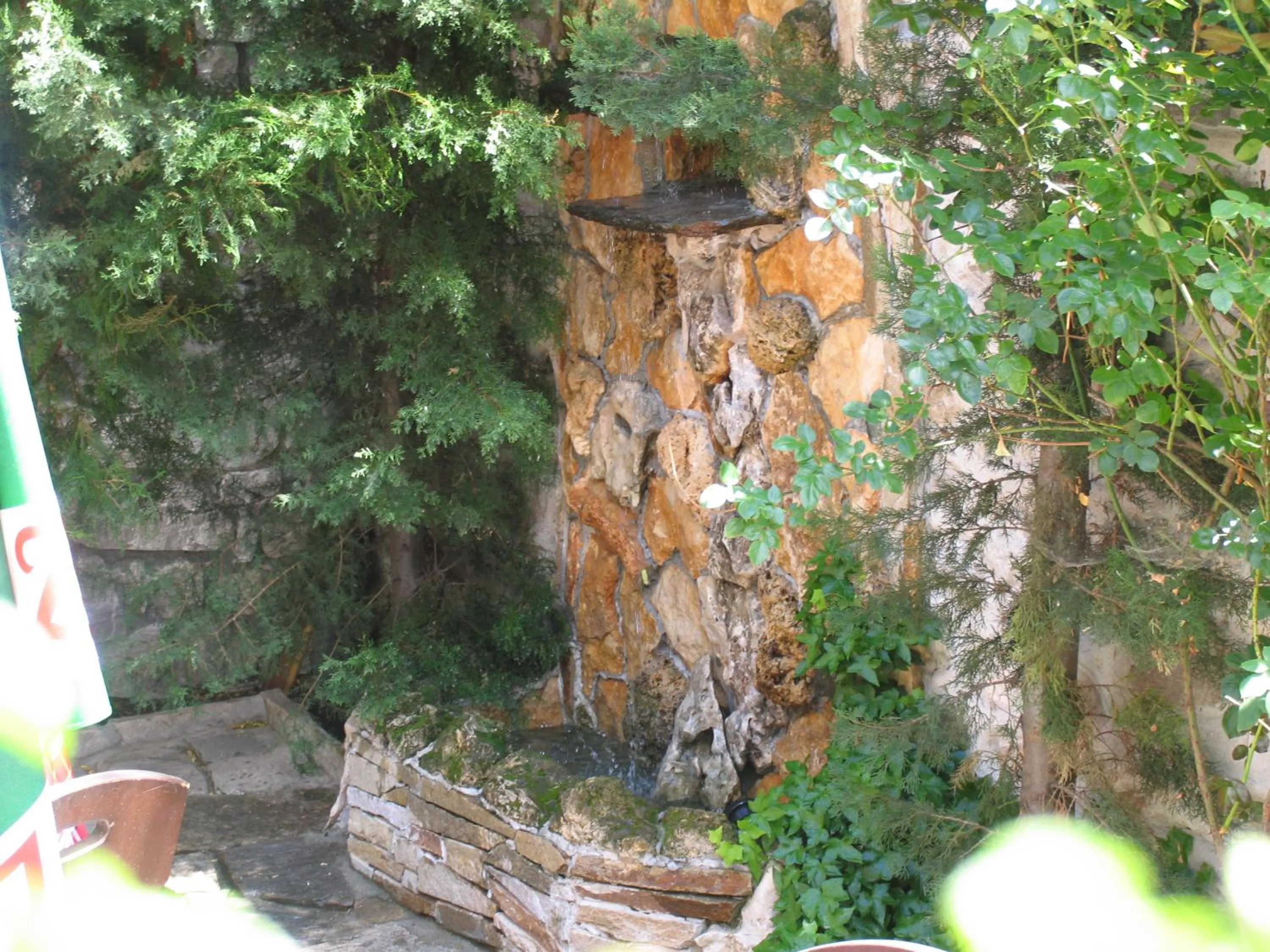 Garden in Hotel Old Times