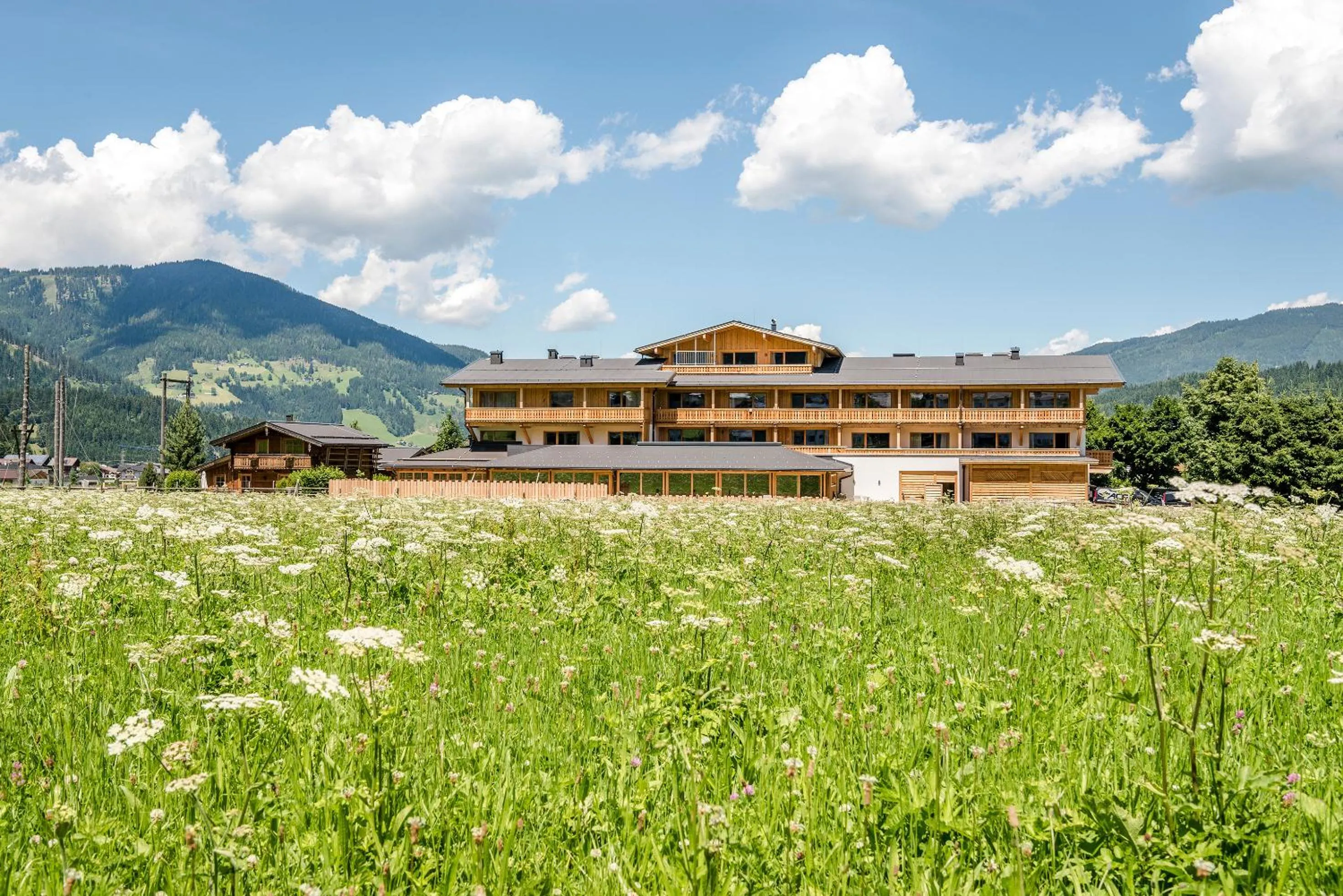 Property building in almlust - hotel, apartments, chalets