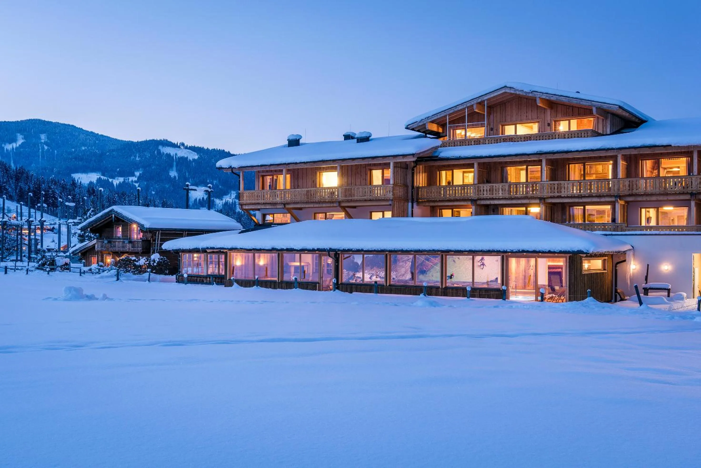 Property building in almlust - hotel, apartments, chalets