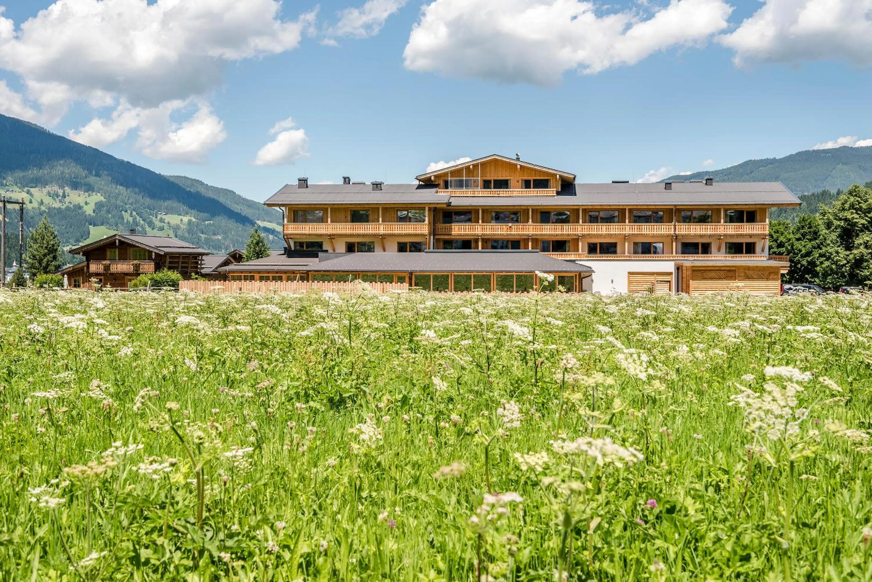 Property building in almlust - hotel, apartments, chalets