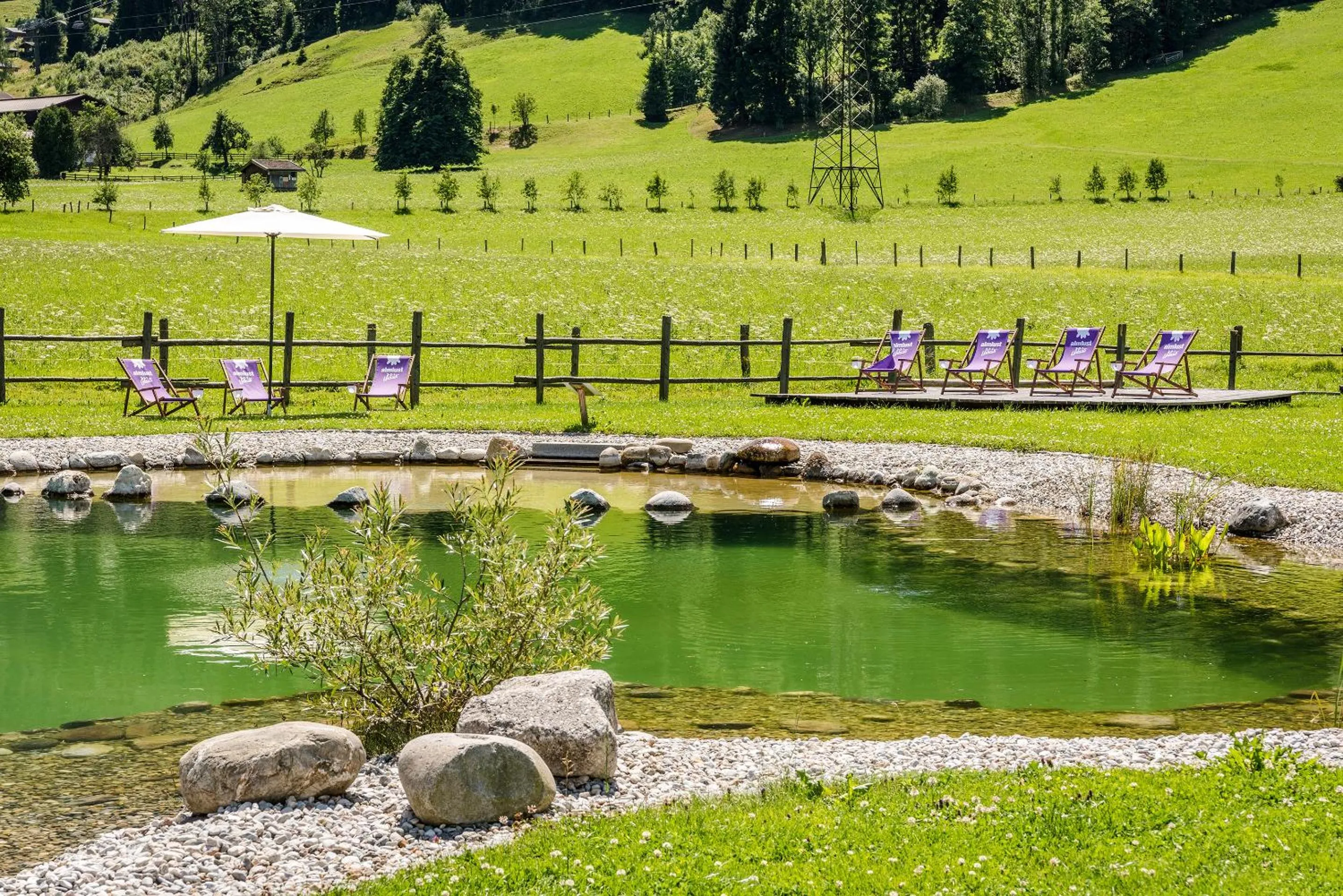 Swimming pool in almlust - hotel, apartments, chalets