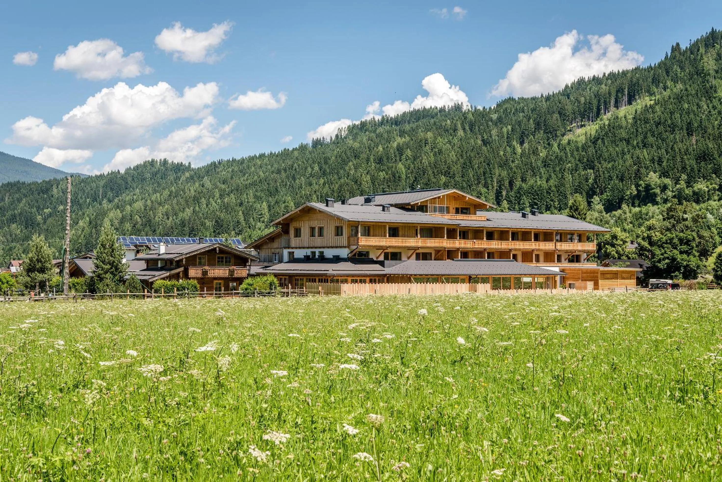 Property building in almlust - hotel, apartments, chalets