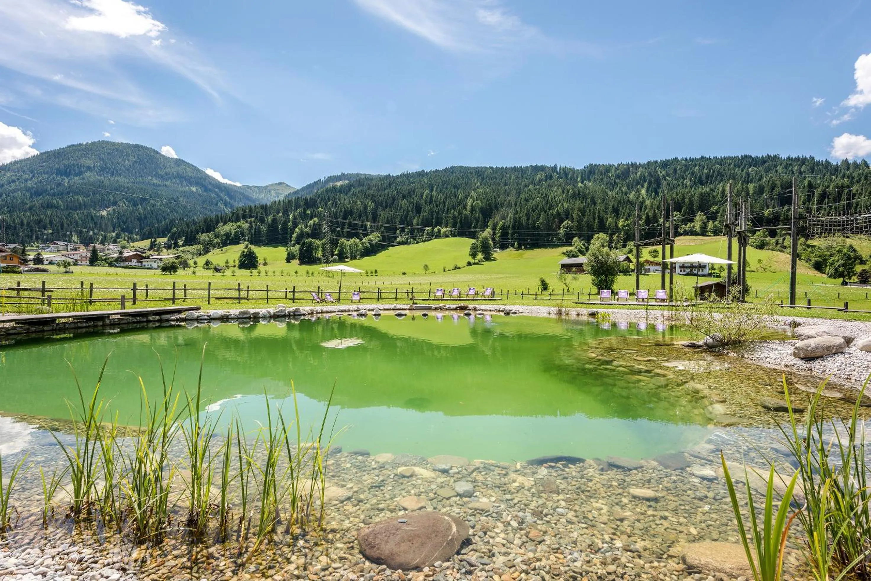 Swimming pool in almlust - hotel, apartments, chalets