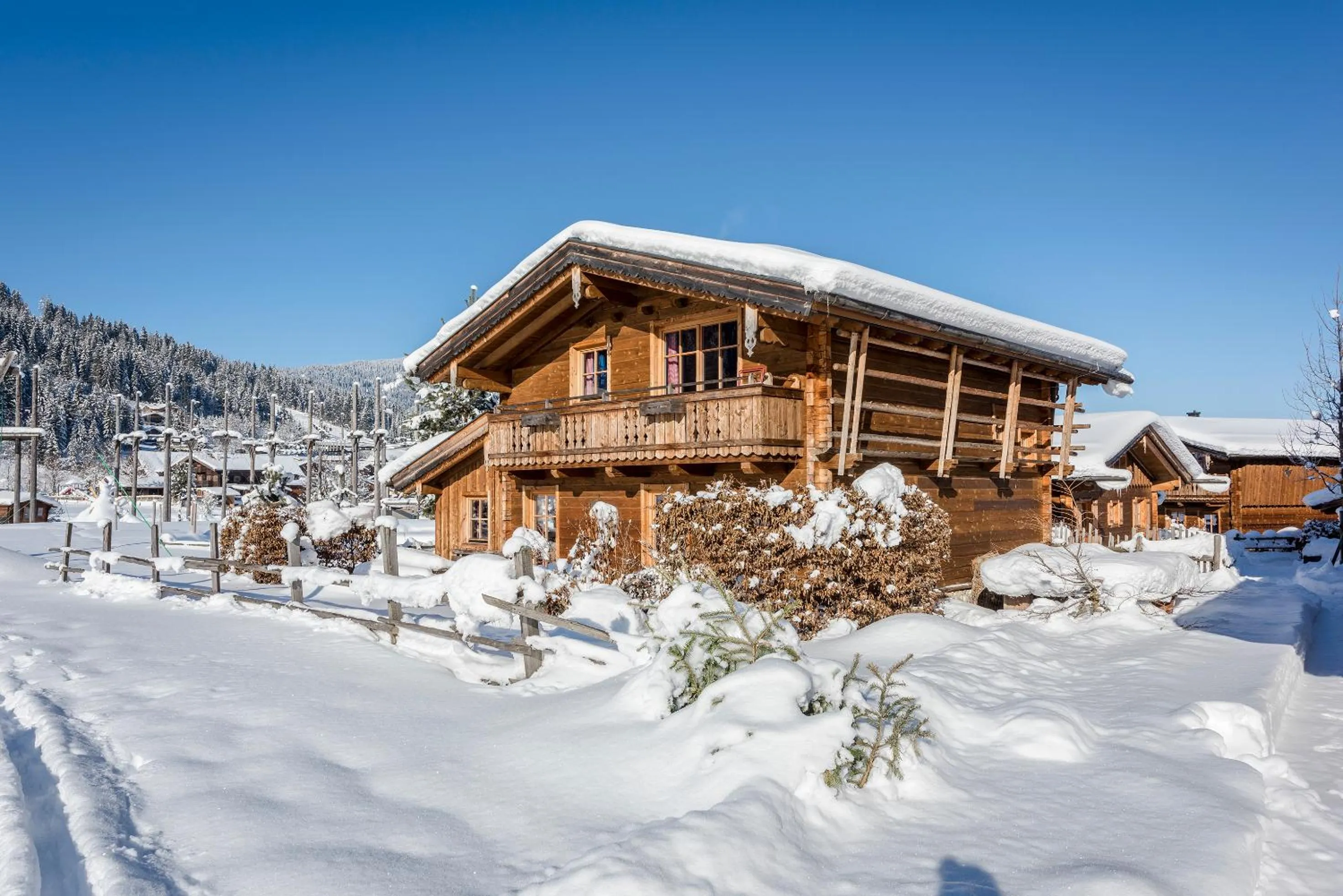 Property building in almlust - hotel, apartments, chalets