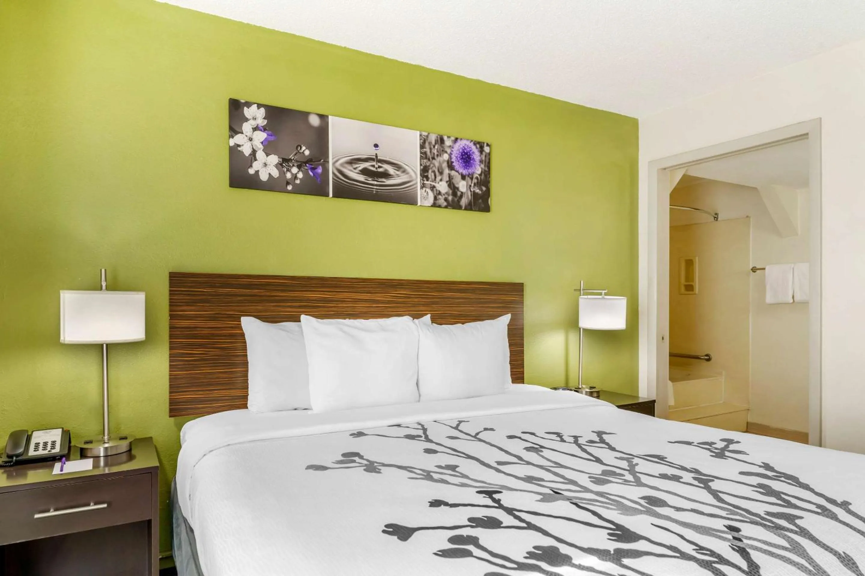 Bedroom, Bed in Sleep Inn Hickory South