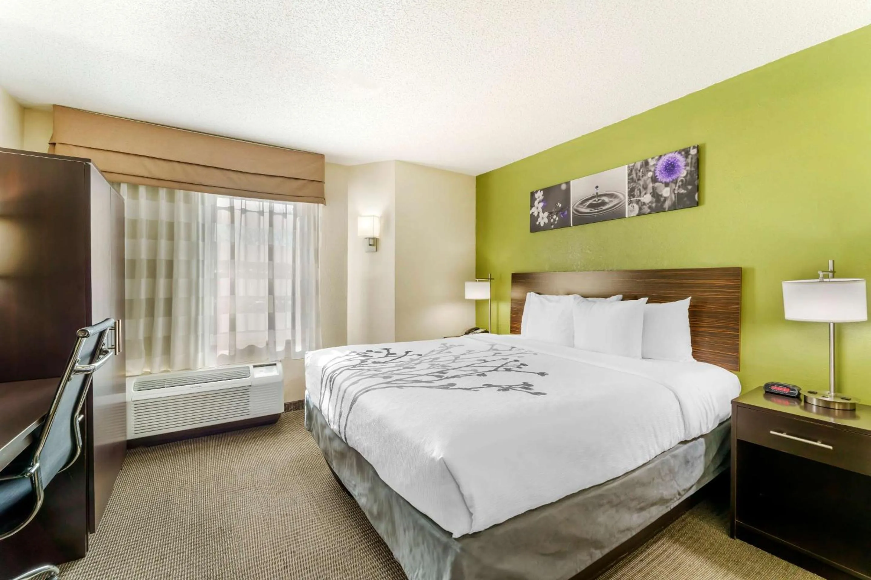 Bedroom, Bed in Sleep Inn Hickory South