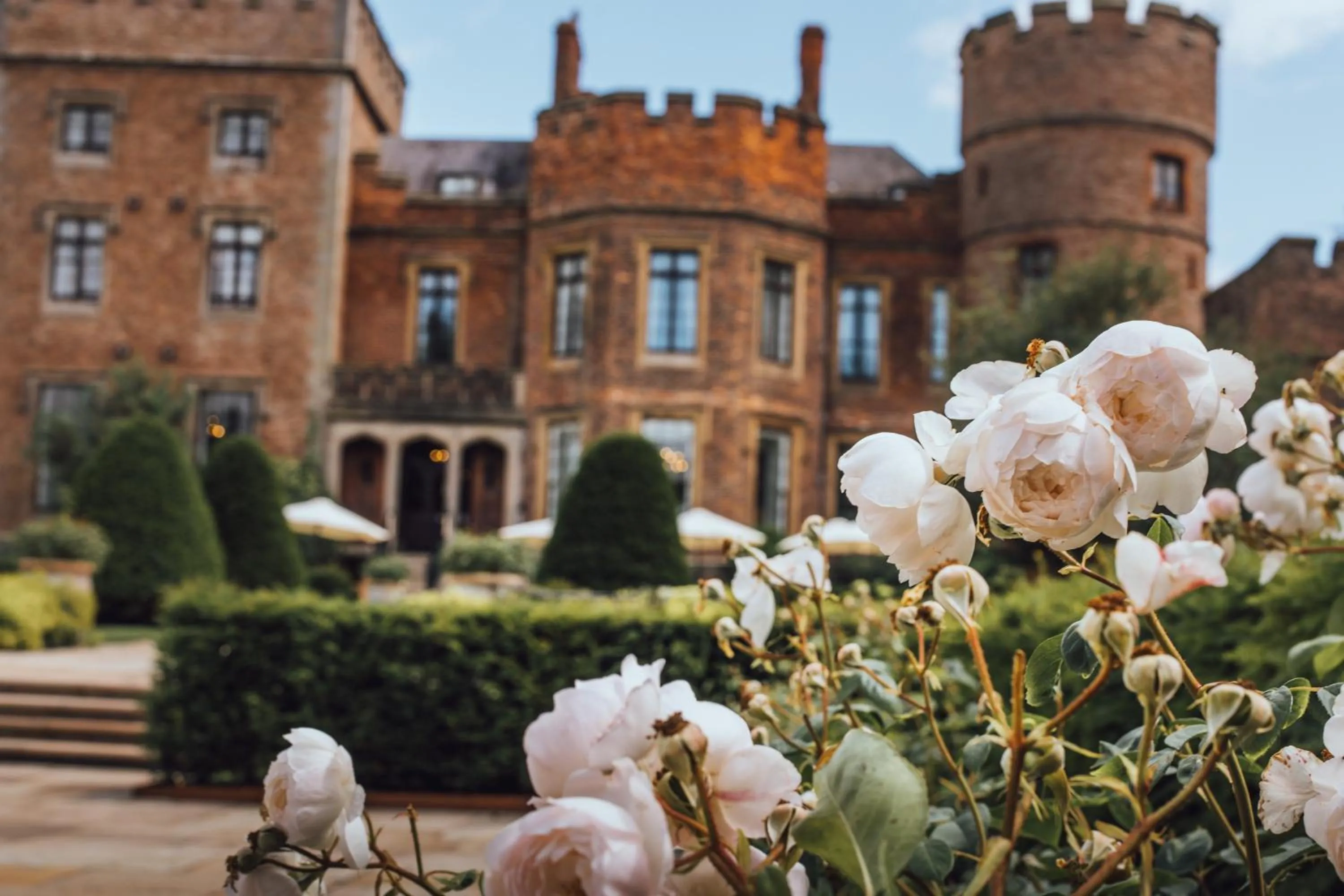 Garden in Rowton Castle