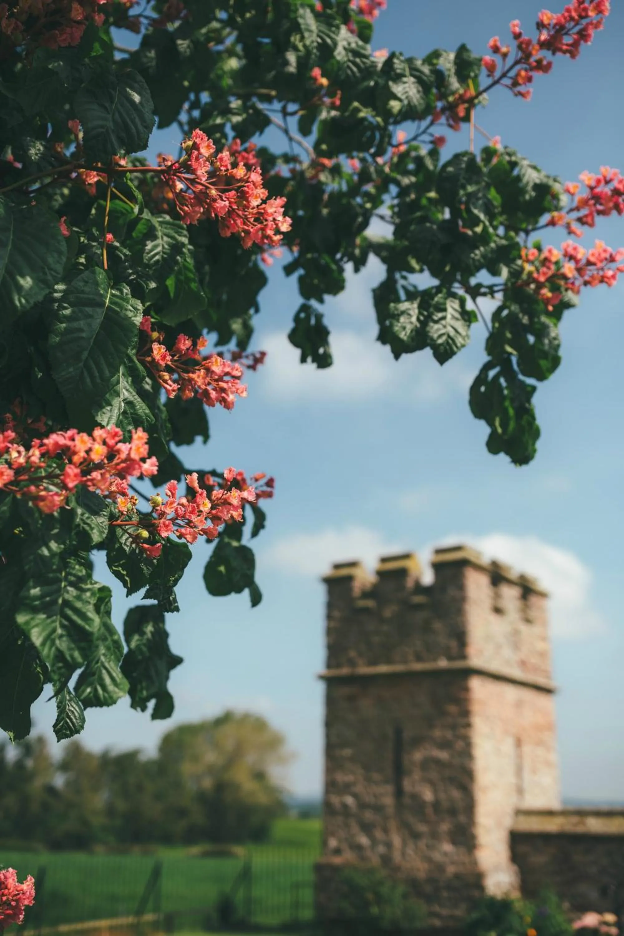 Property building in Rowton Castle