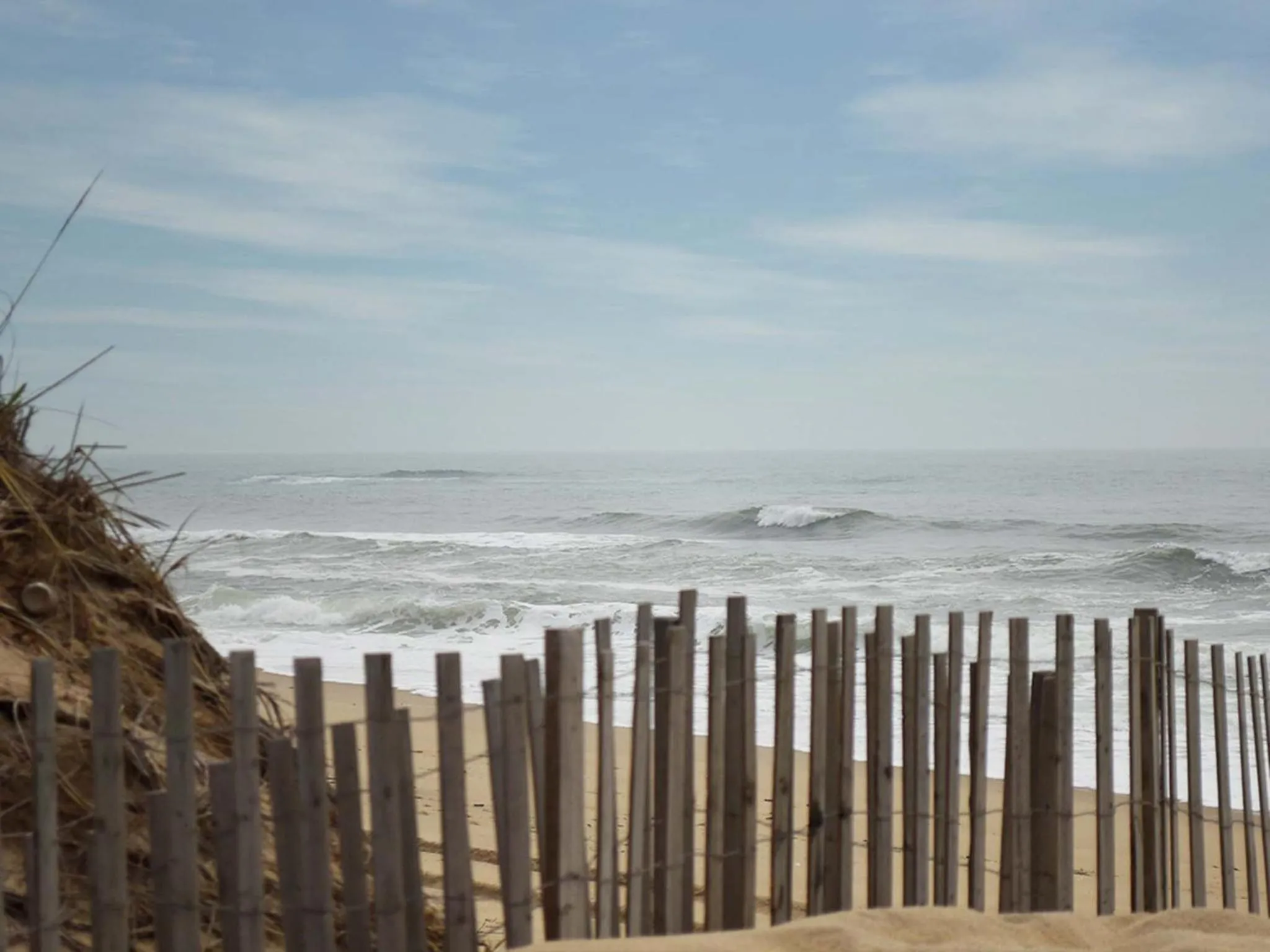 Natural landscape in A Wave Inn - Montauk
