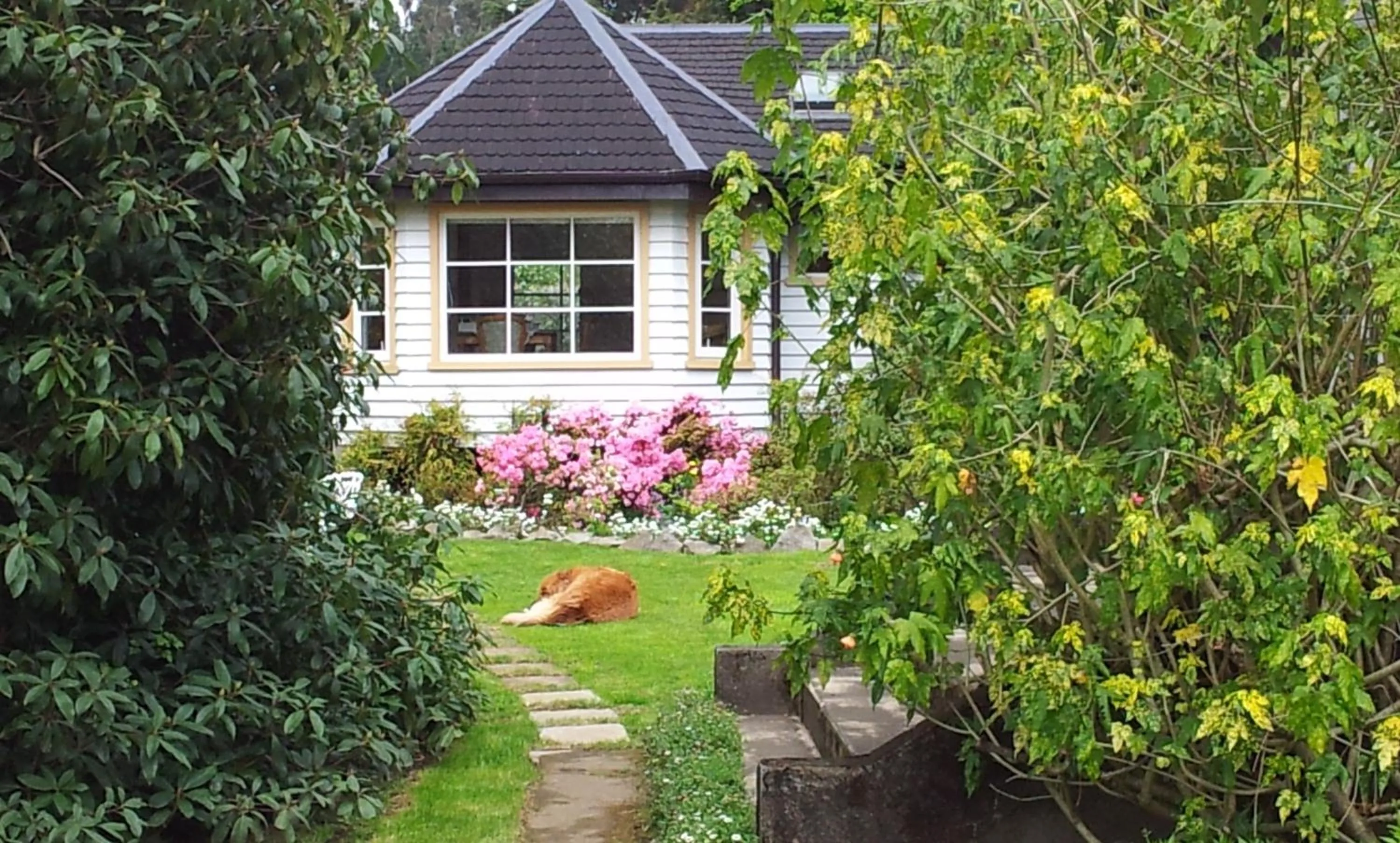 Cottage (4 Adults) in Hotel Serenade de Franz Schubert