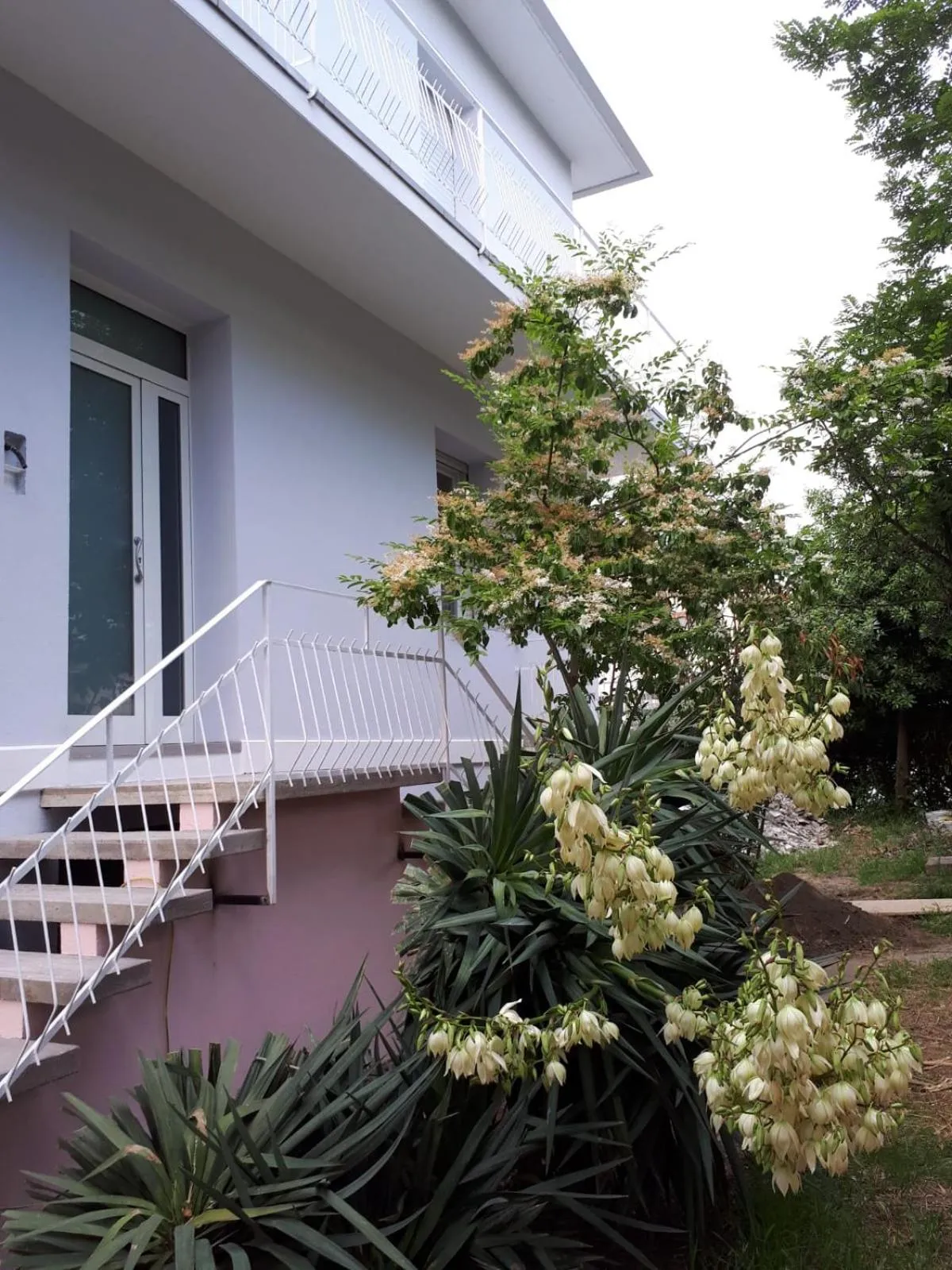 Property building in R&B Manga Rosas