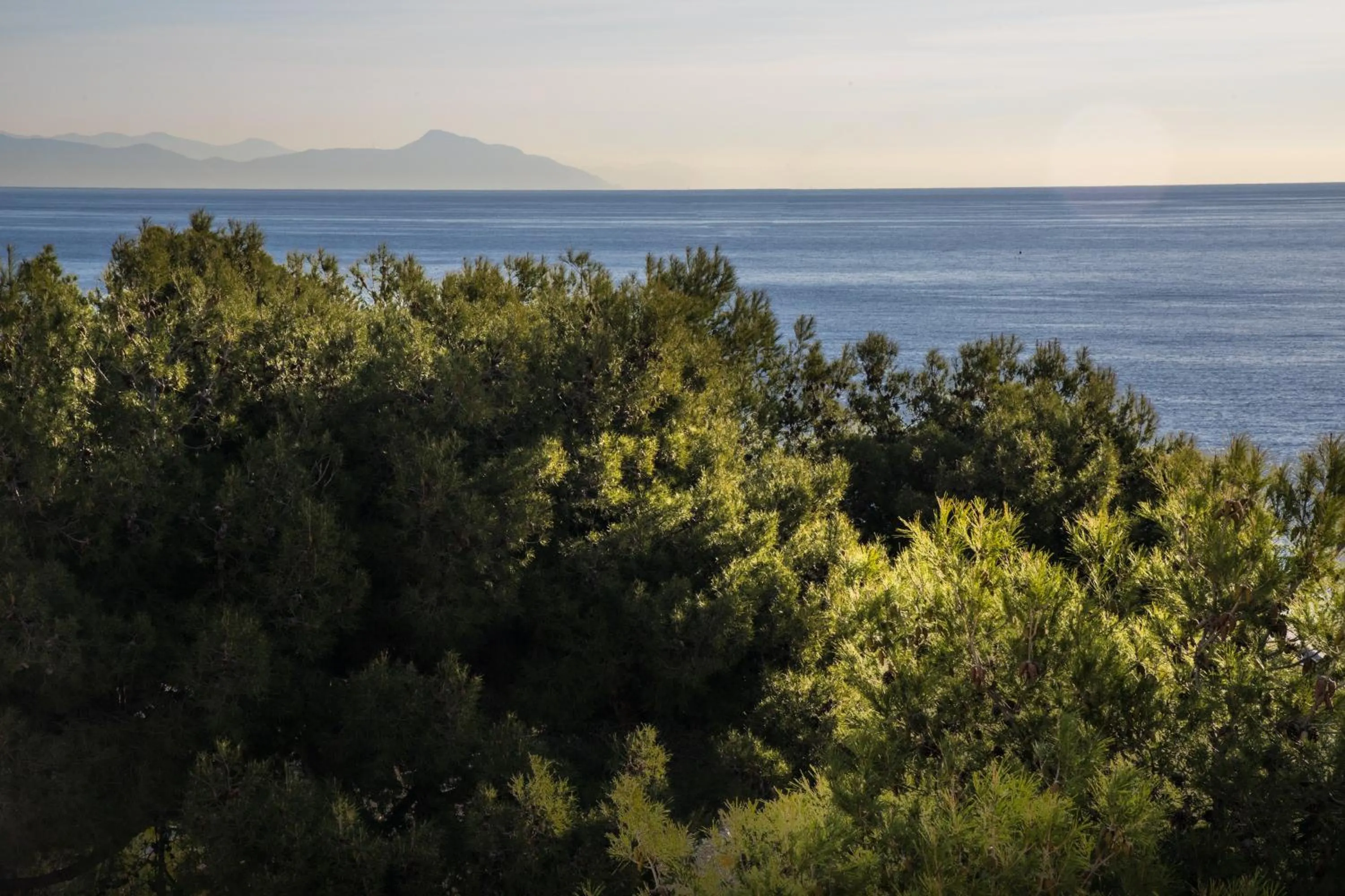 Sea view in Ena Hotel
