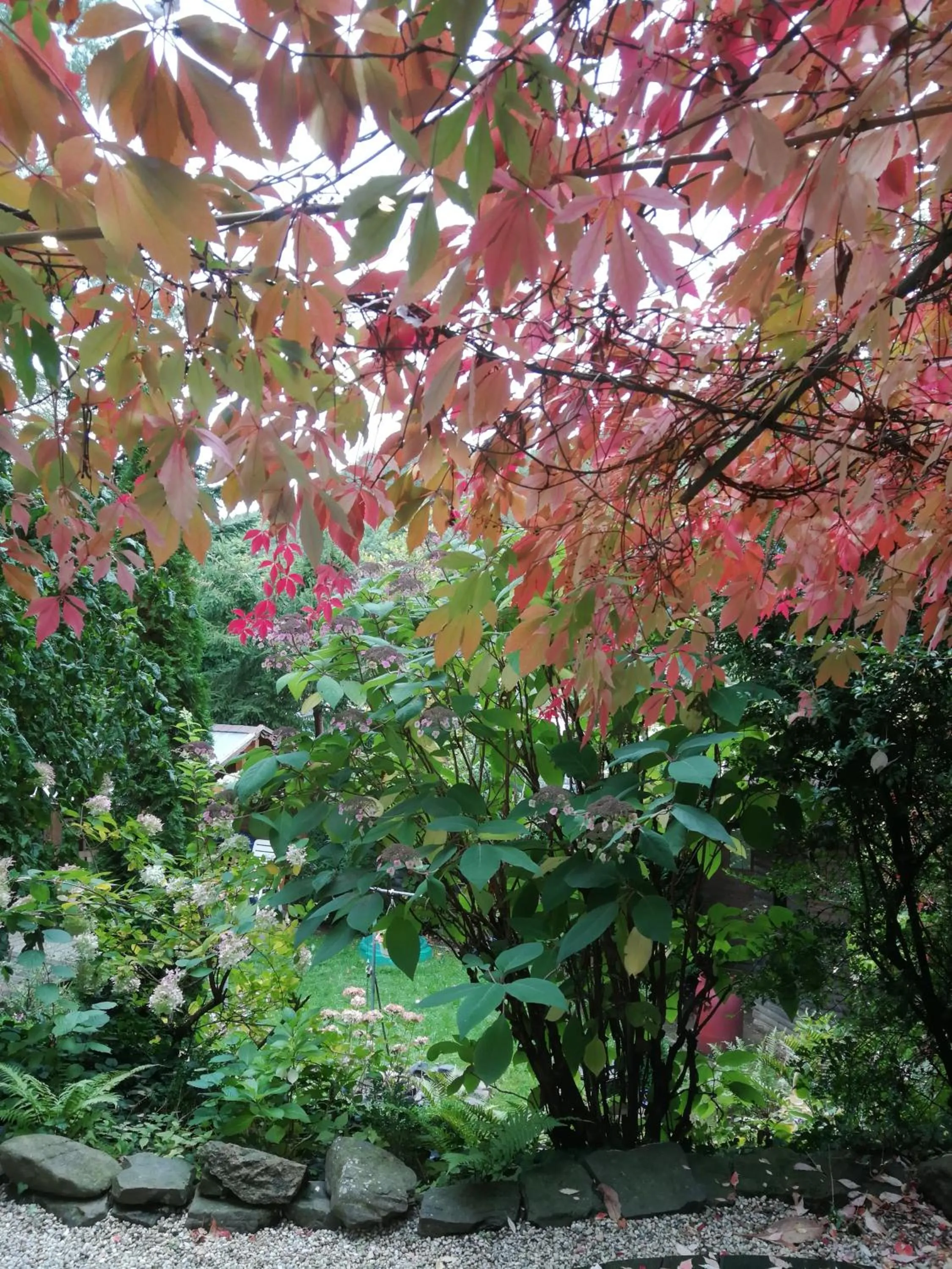 Garden in Gästezimmer Am Hüstert