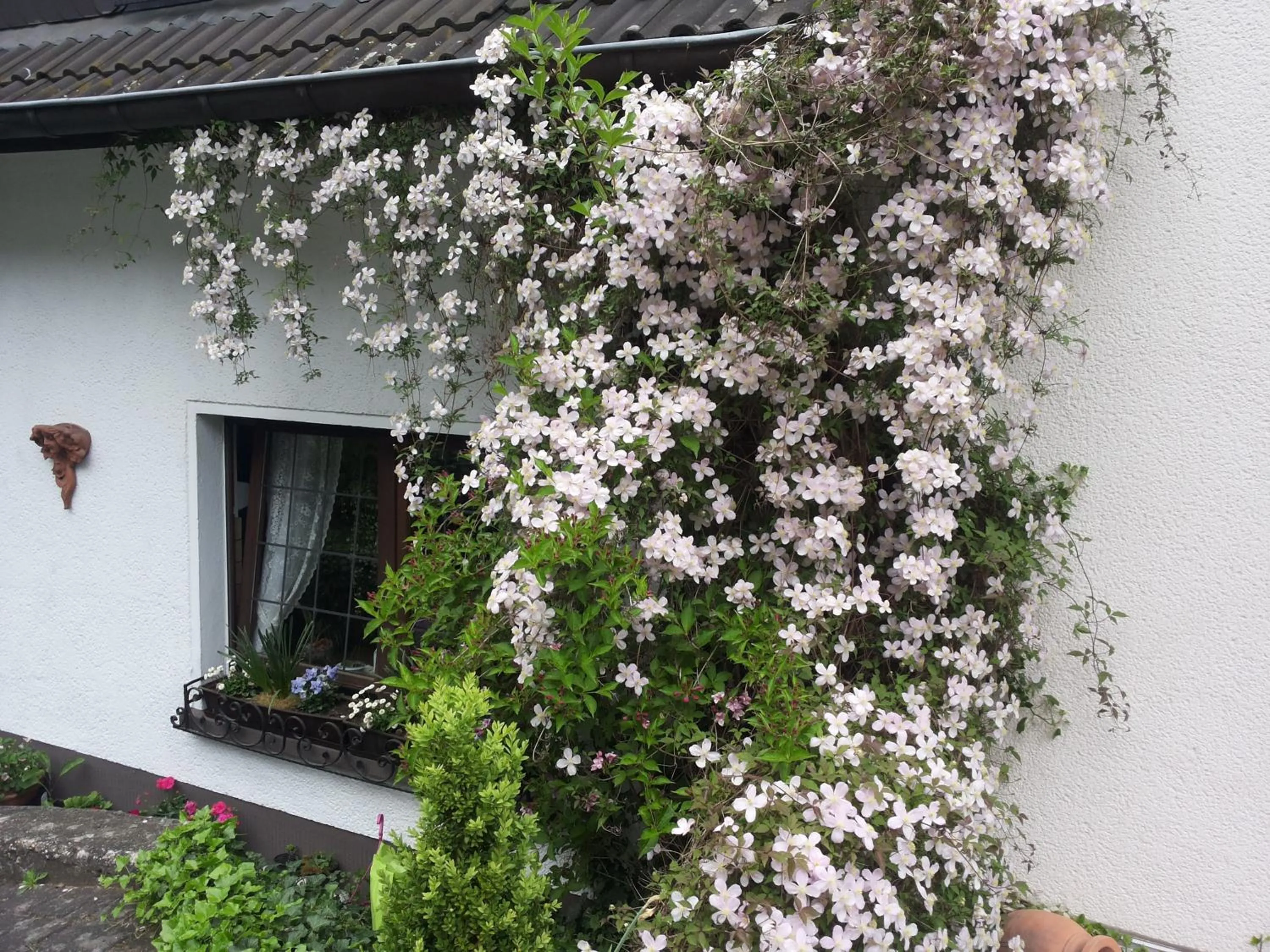 Property building in Gästezimmer Am Hüstert