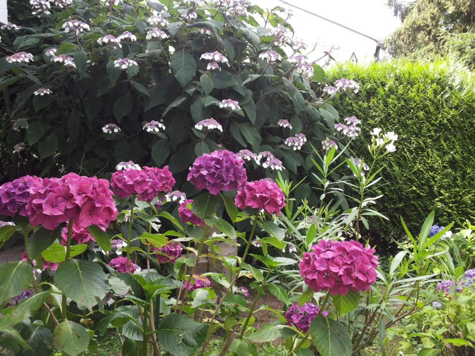 Garden in Gästezimmer Am Hüstert