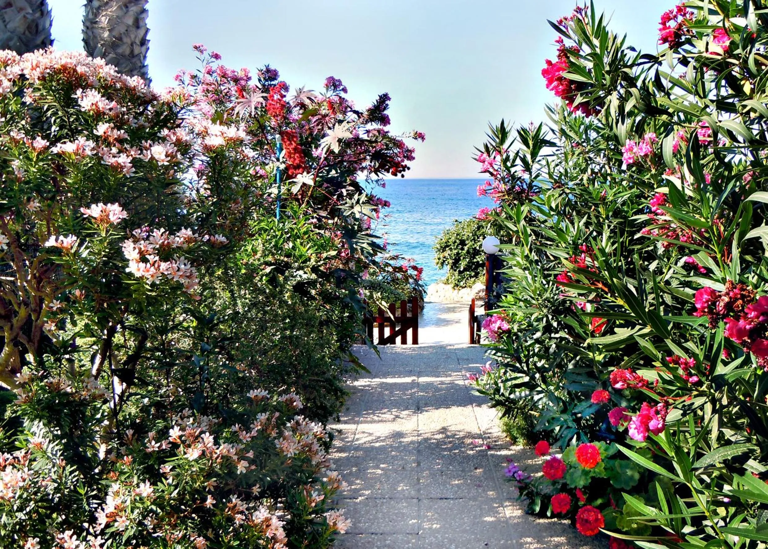 Garden in Rododafni Beach Apartments