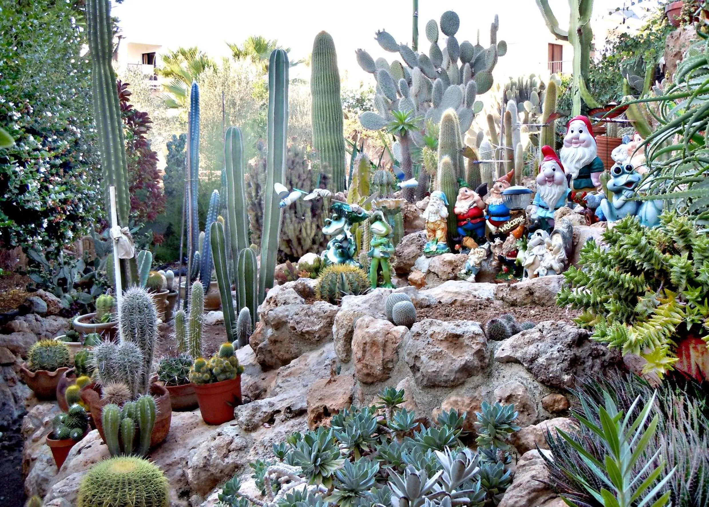 Garden in Rododafni Beach Apartments