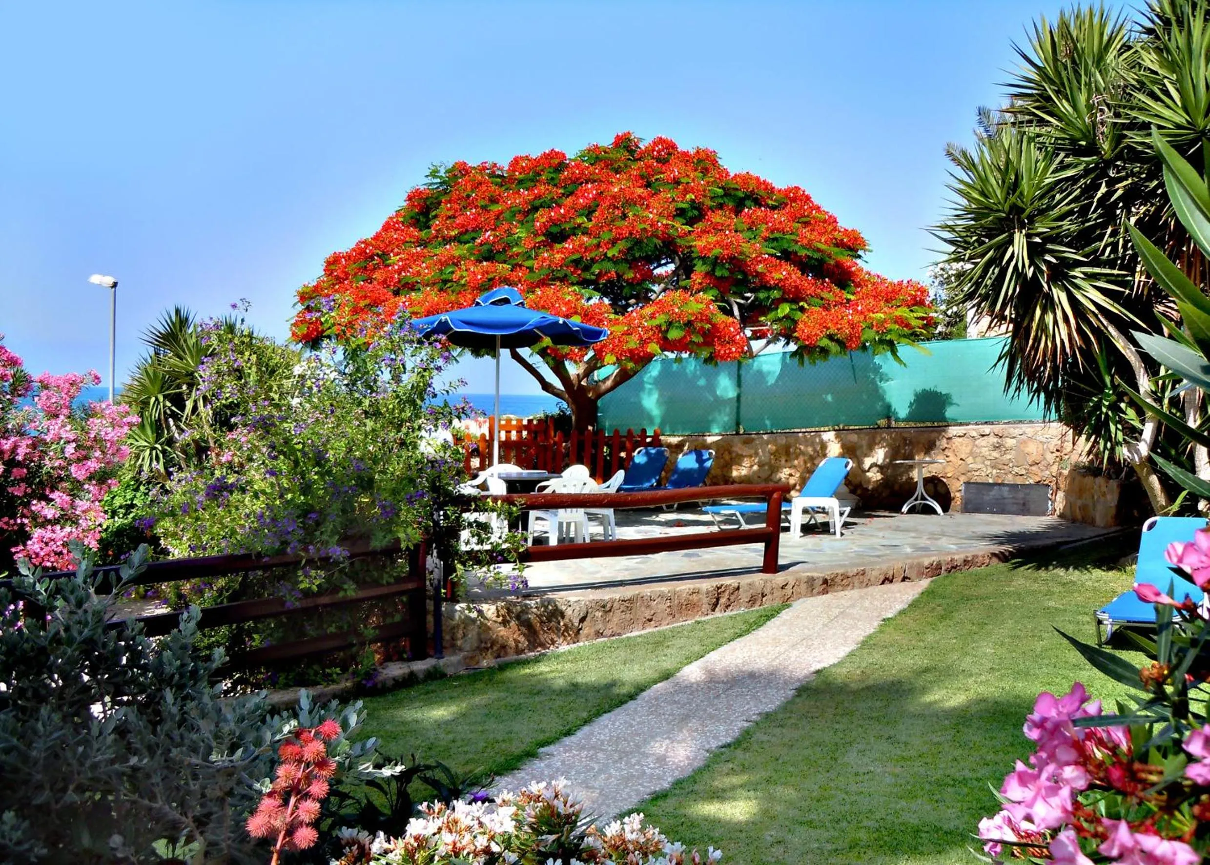 Garden in Rododafni Beach Apartments