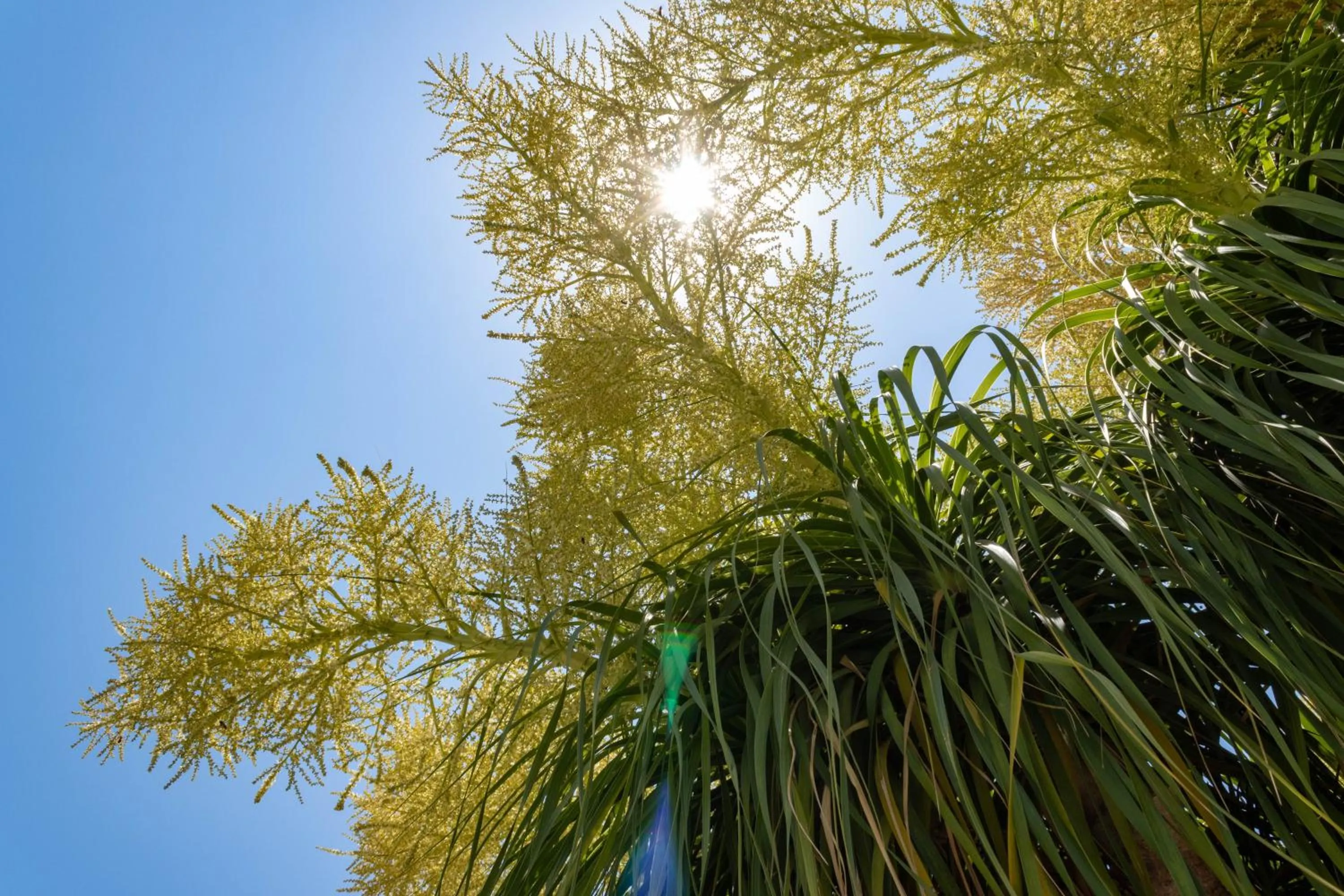 Rododafni Beach Apartments