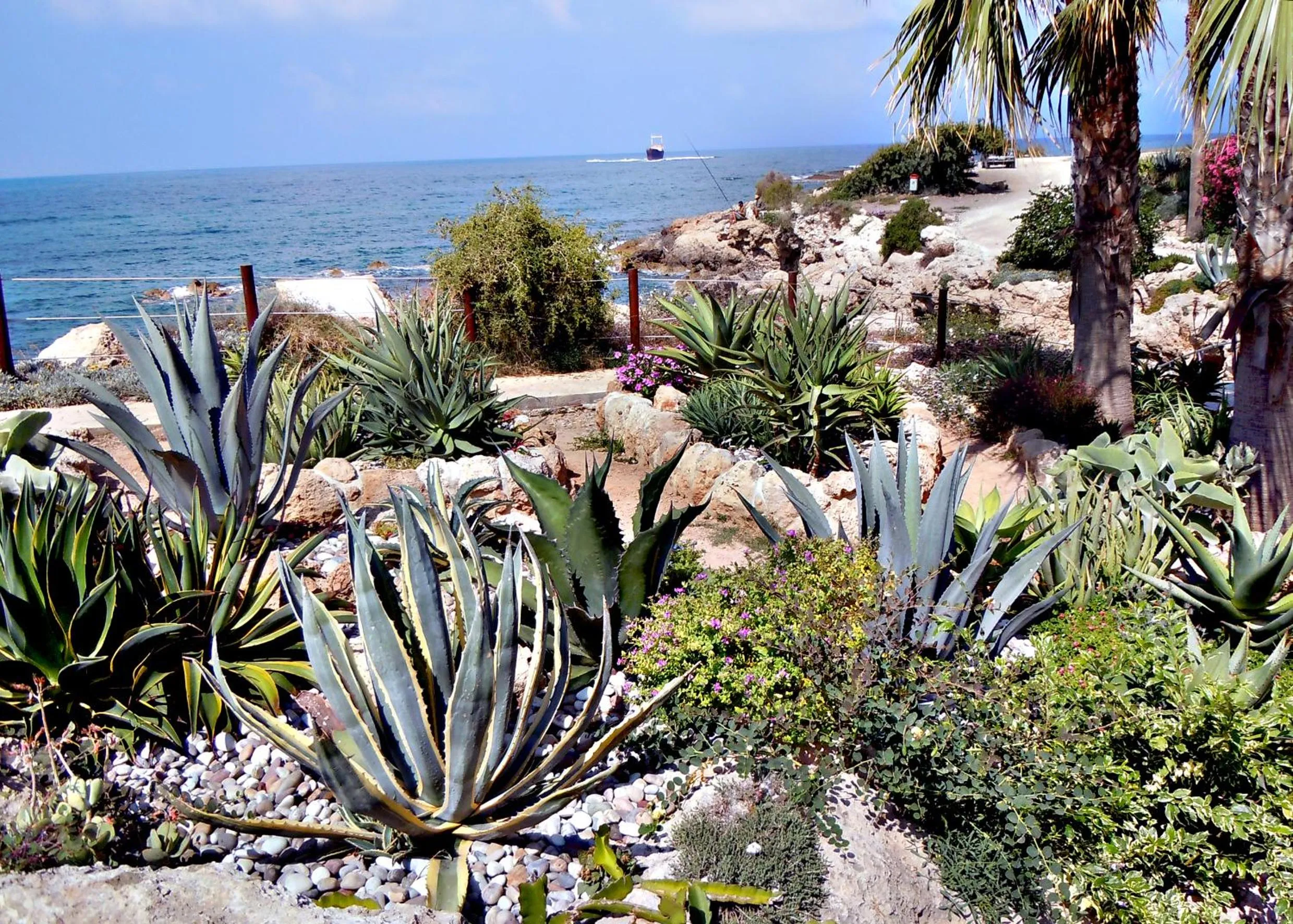 Area and facilities in Rododafni Beach Apartments