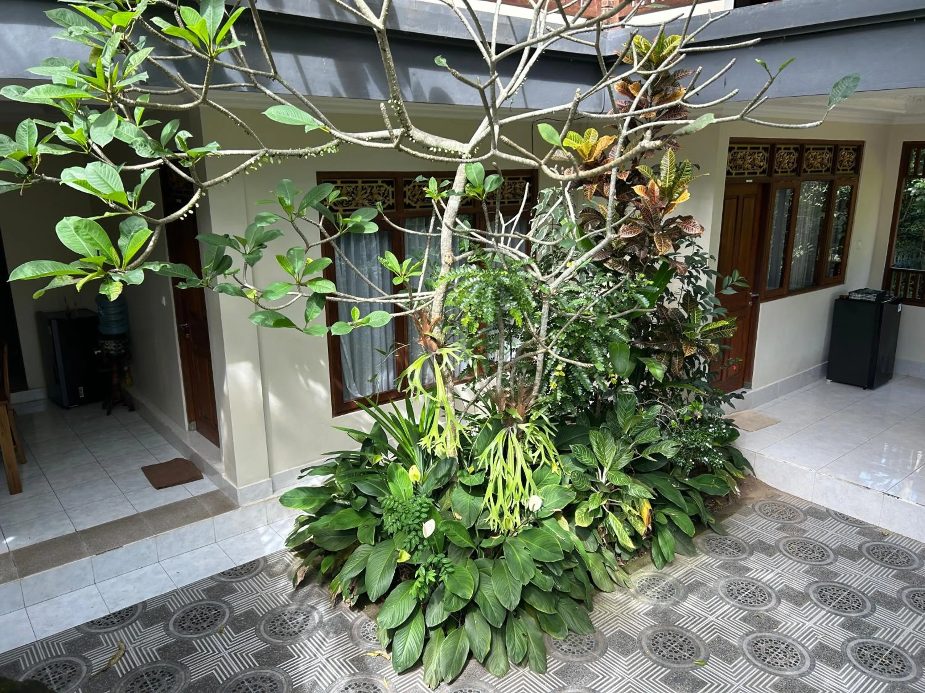Garden in Balimas Guest House
