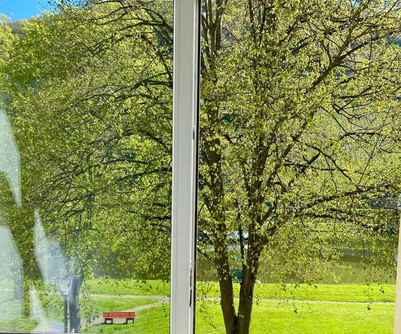 Hotel Krone Riesling