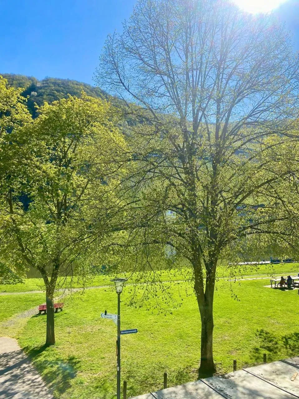 Hotel Krone Riesling