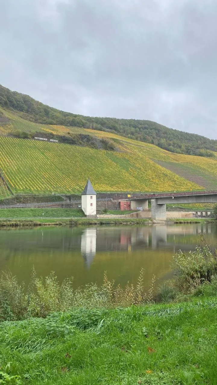 View (from property/room) in Hotel Krone Riesling