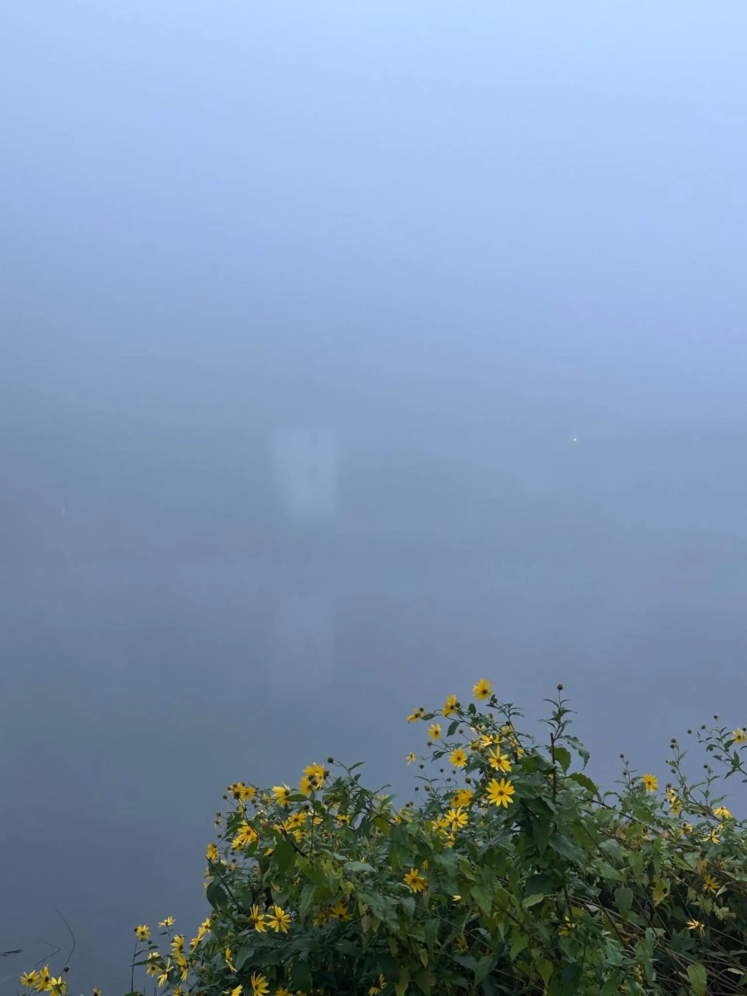 Staff in Hotel Krone Riesling