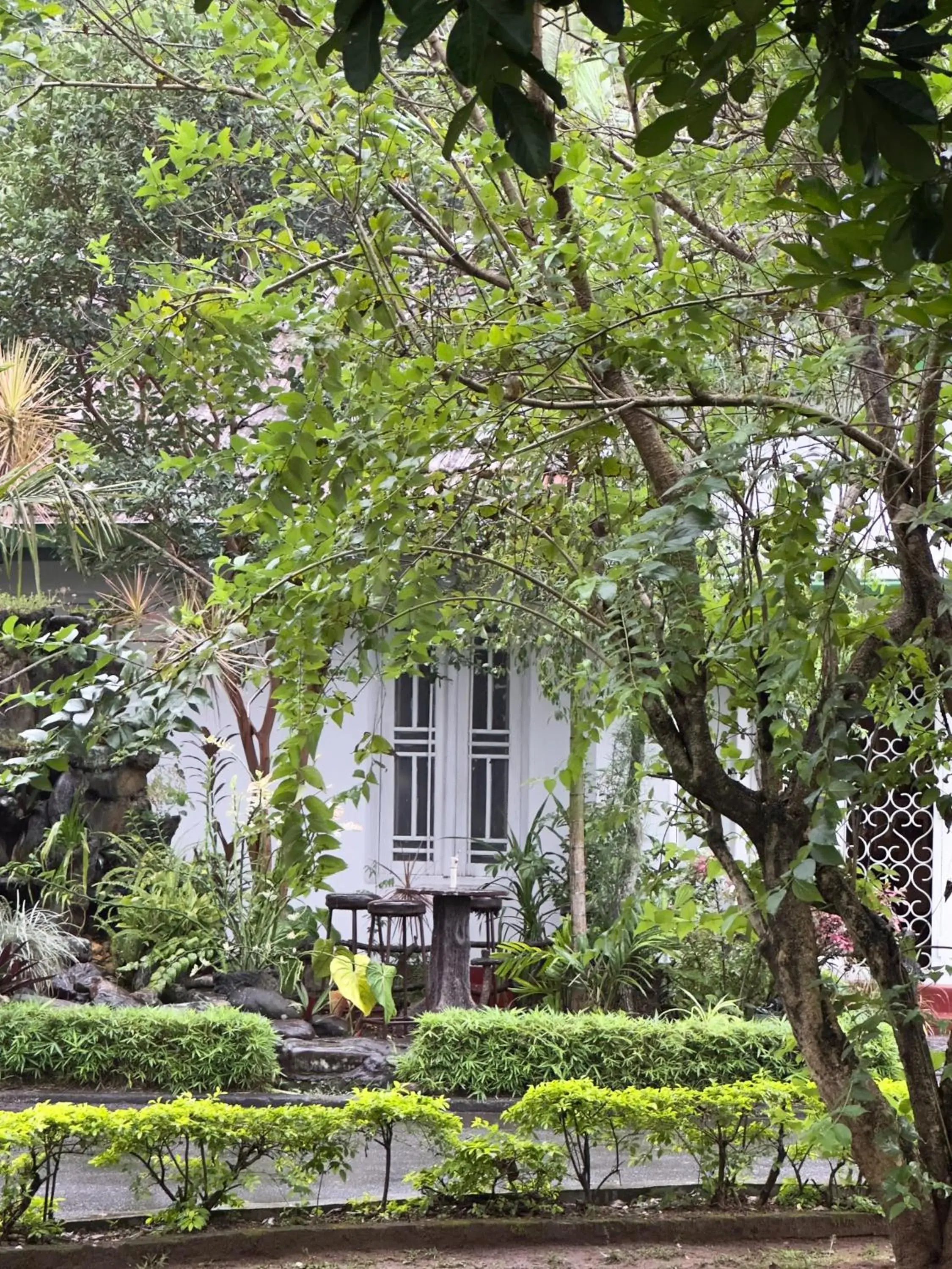 Bungalow with Garden View in Fortuna Heritage Home Bungalow with Garden View in Fortuna Heritage Home