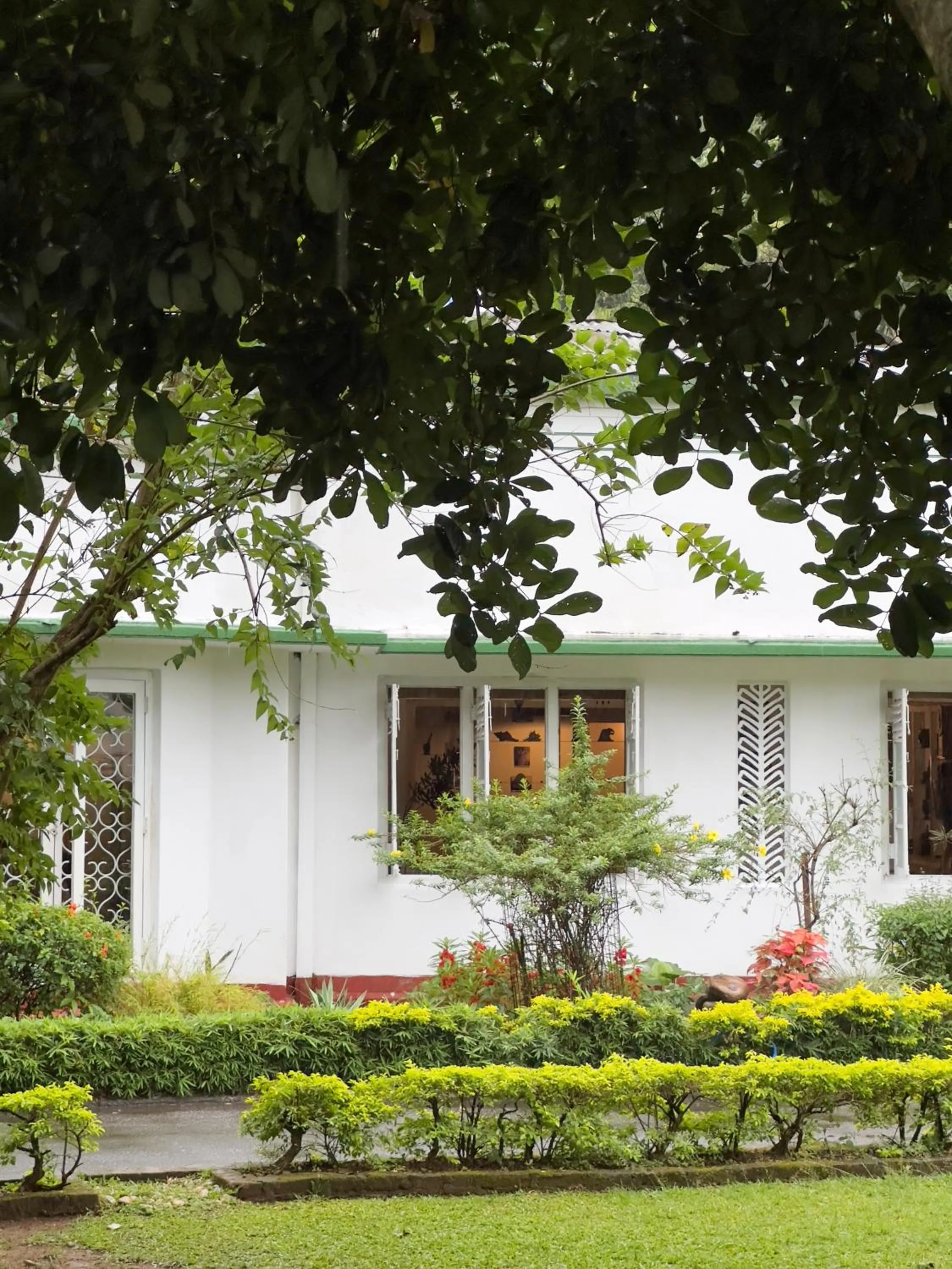 Property building in Fortuna Heritage Home