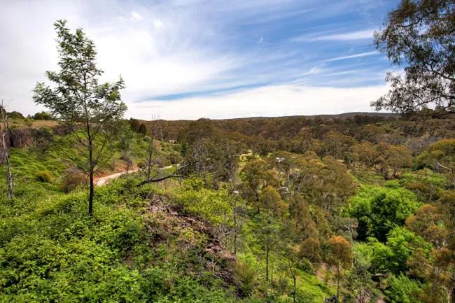 Garden in Blue Cliffs Retreat