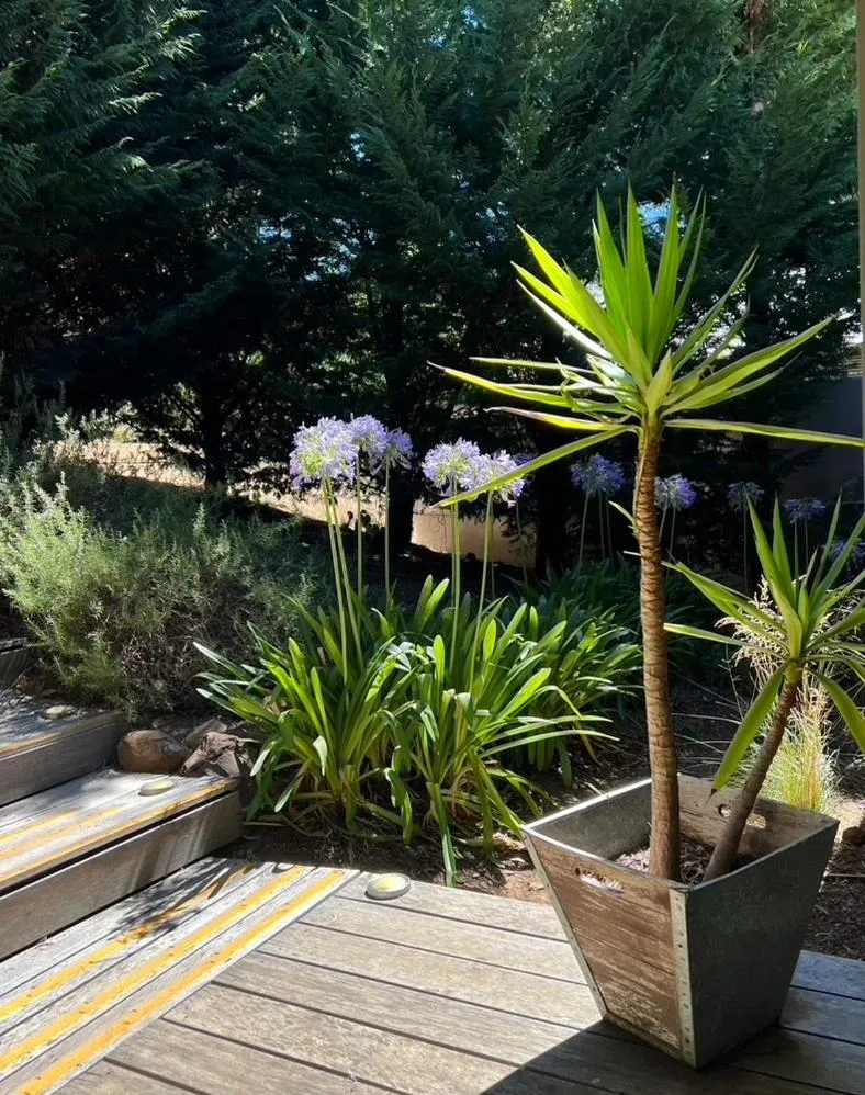 Garden in Blue Cliffs Retreat