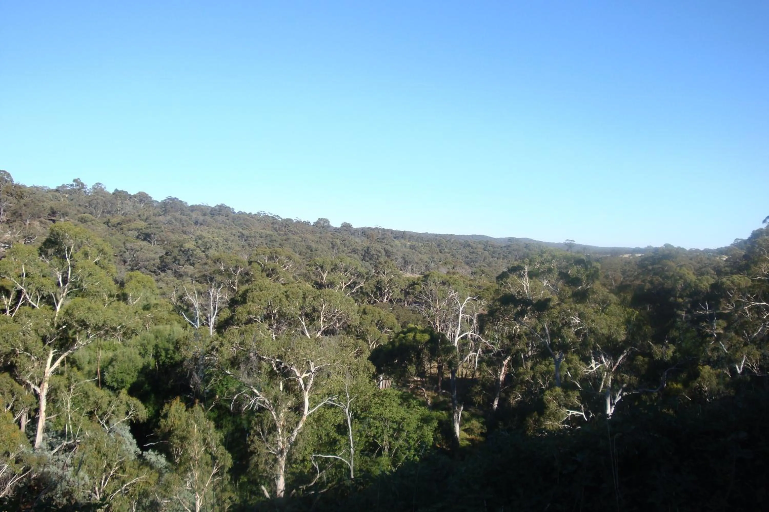 Natural landscape in Blue Cliffs Retreat