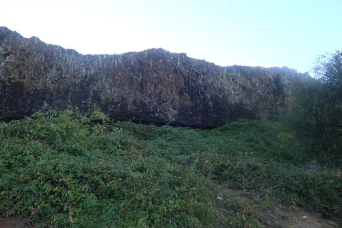 Garden in Blue Cliffs Retreat