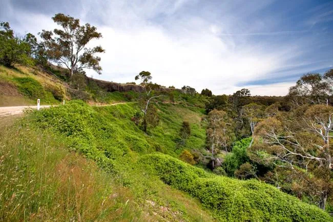 Garden in Blue Cliffs Retreat