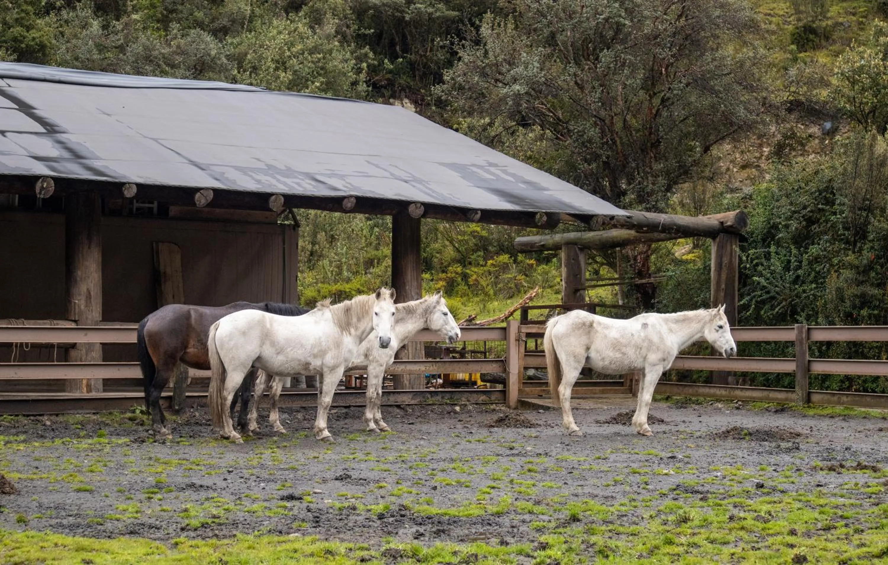 Activities in Hacienda Hostería Dos Chorreras