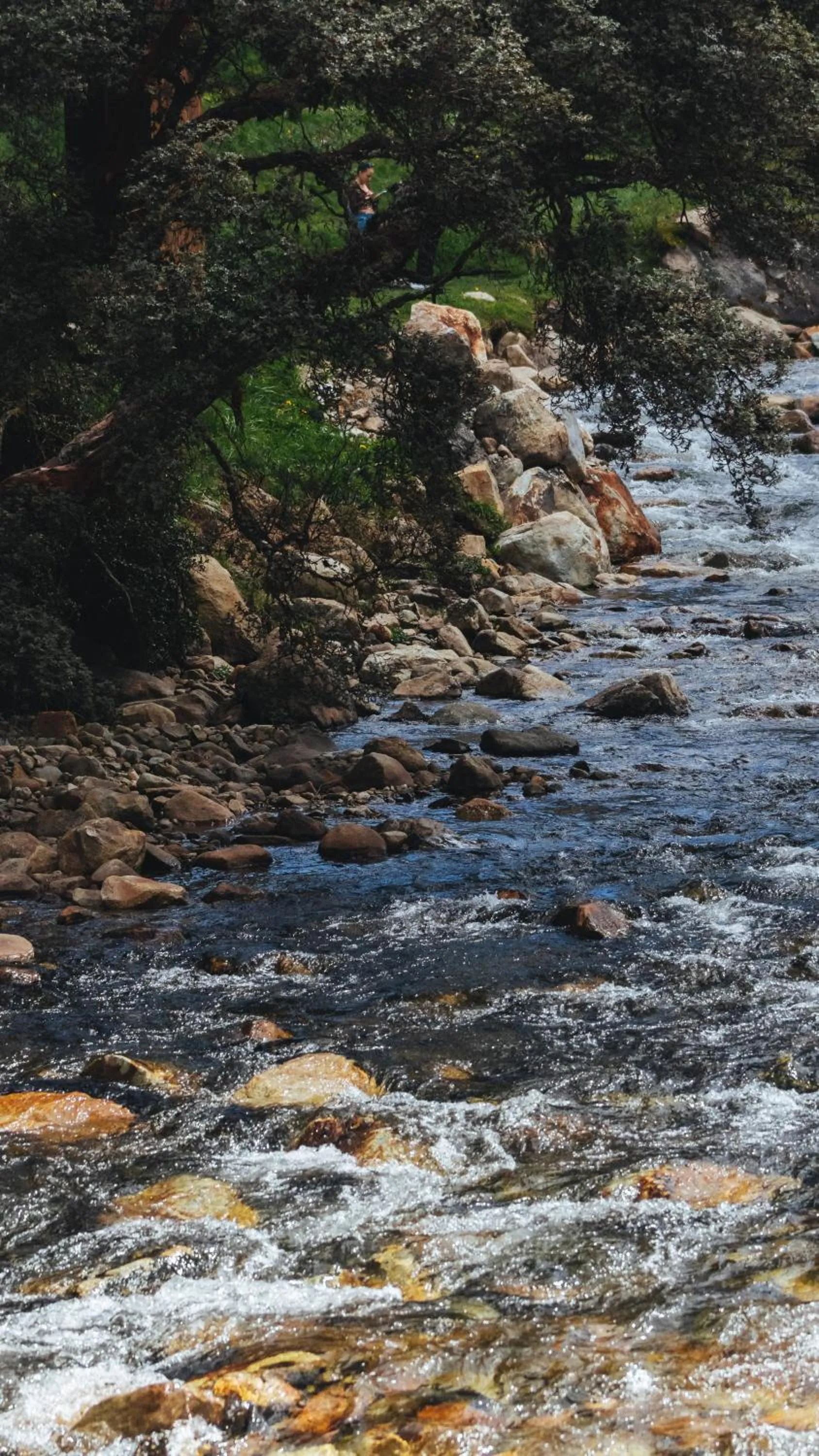 Off site in Hacienda Hostería Dos Chorreras