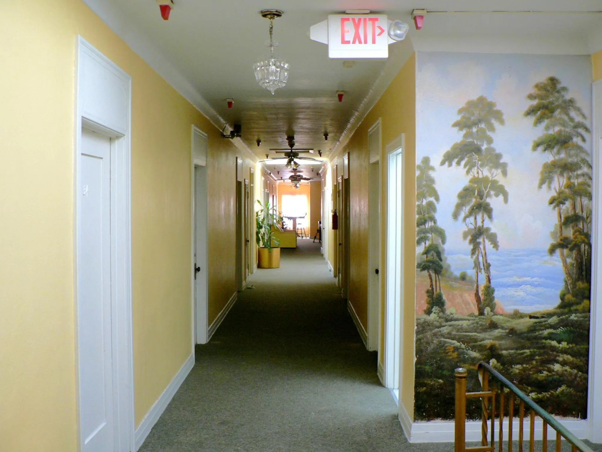 Other in Hotel del Flores