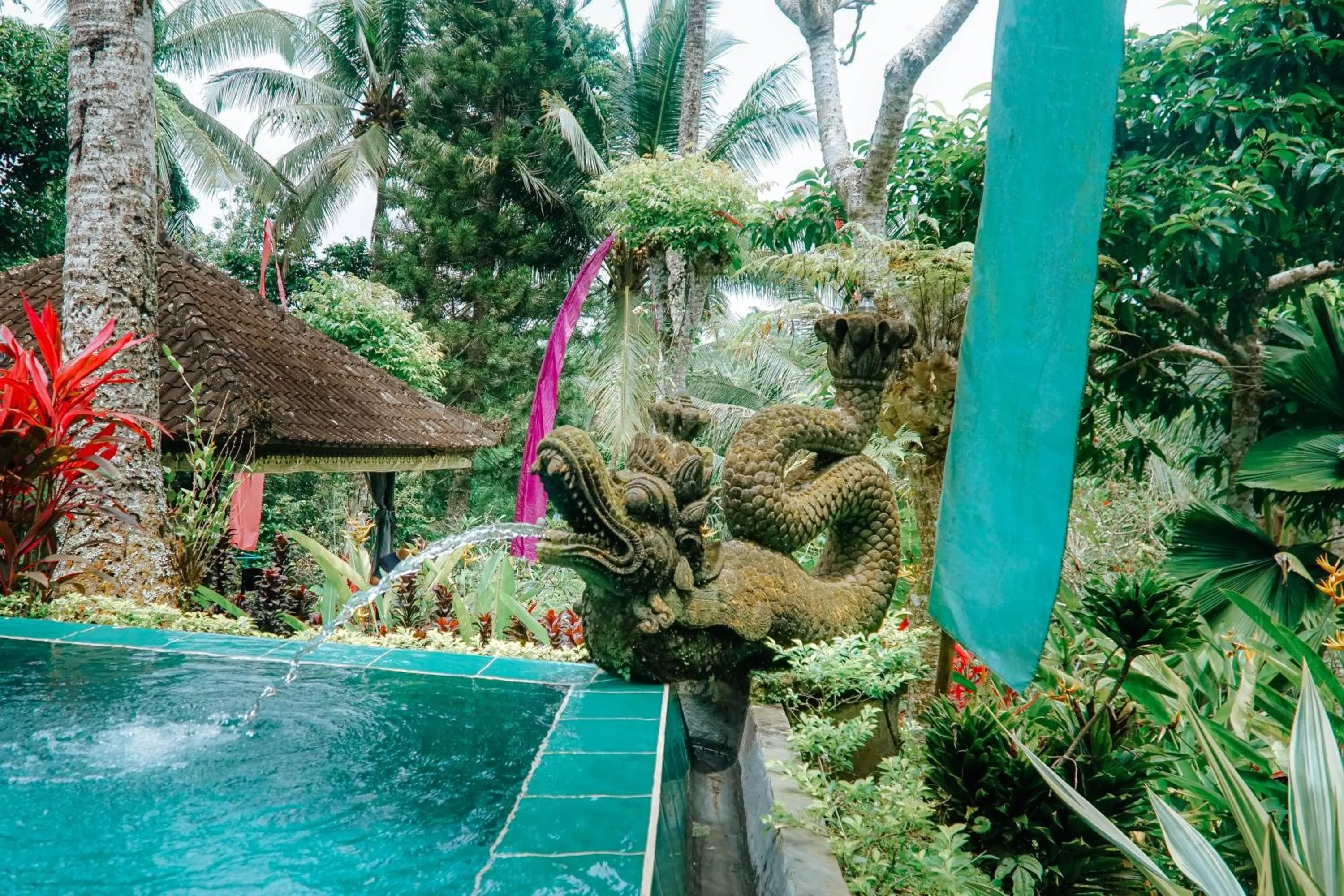 Pool view in The Mahogany Villa Ubud