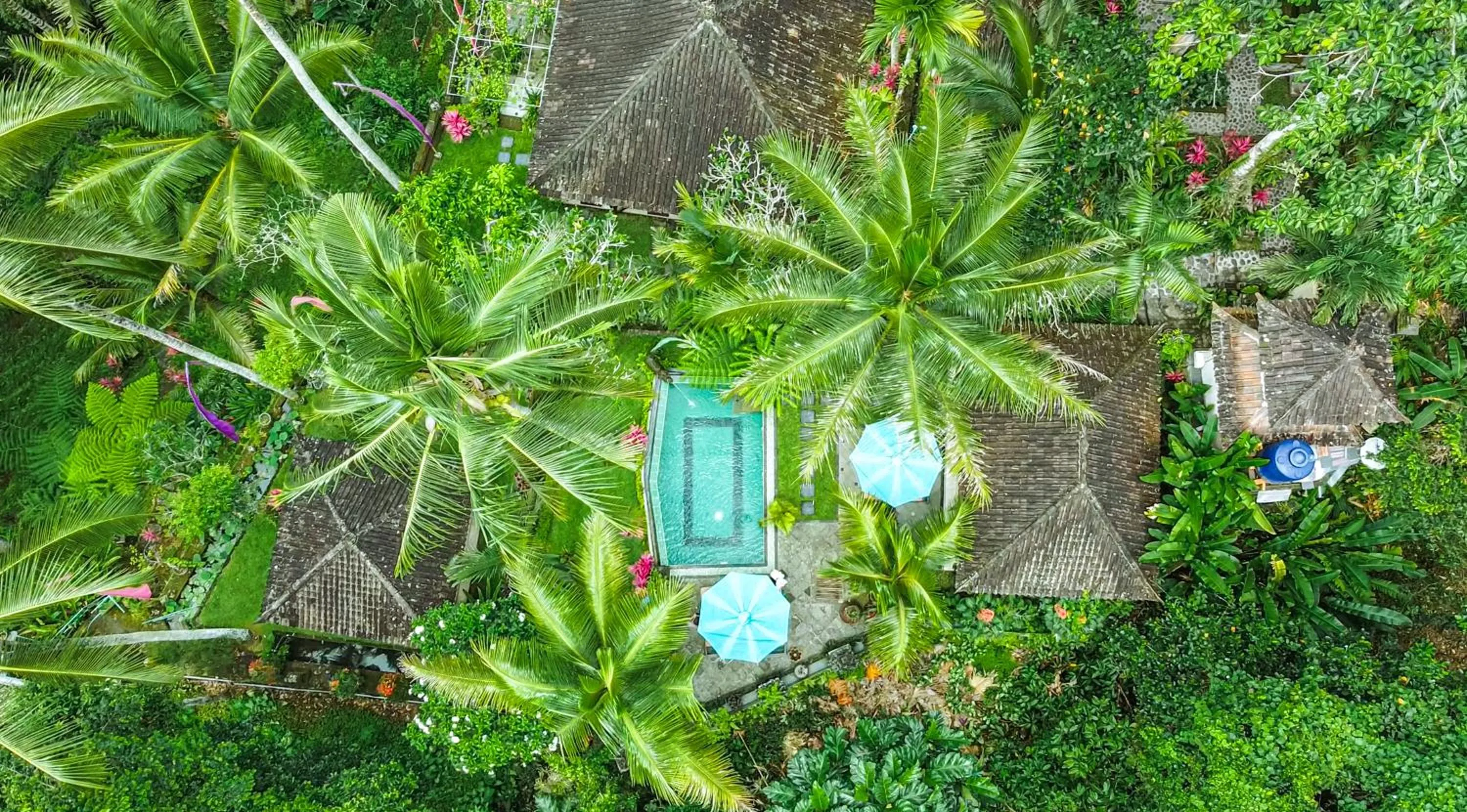View (from property/room) in The Mahogany Villa Ubud