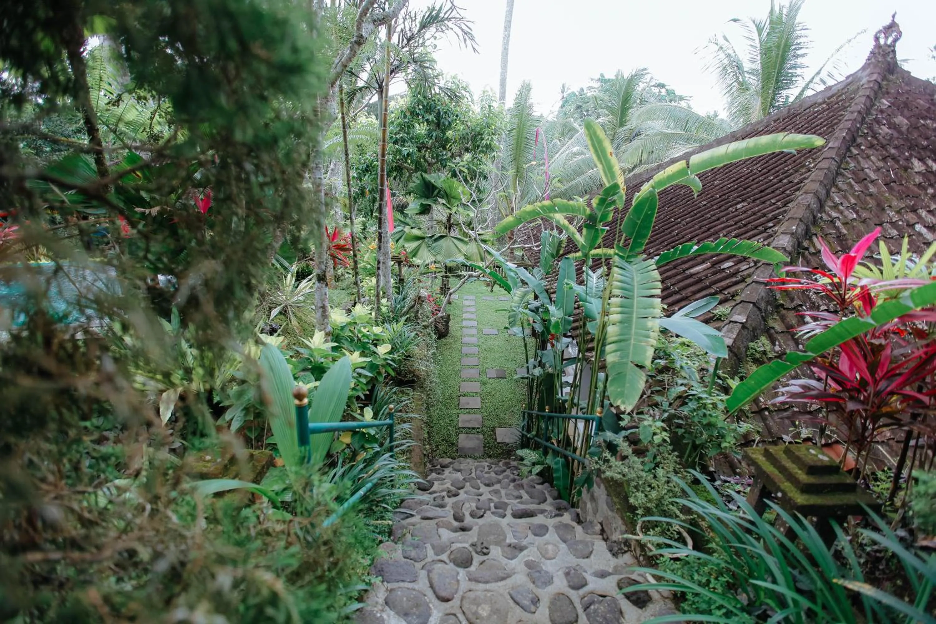 Garden in The Mahogany Villa Ubud