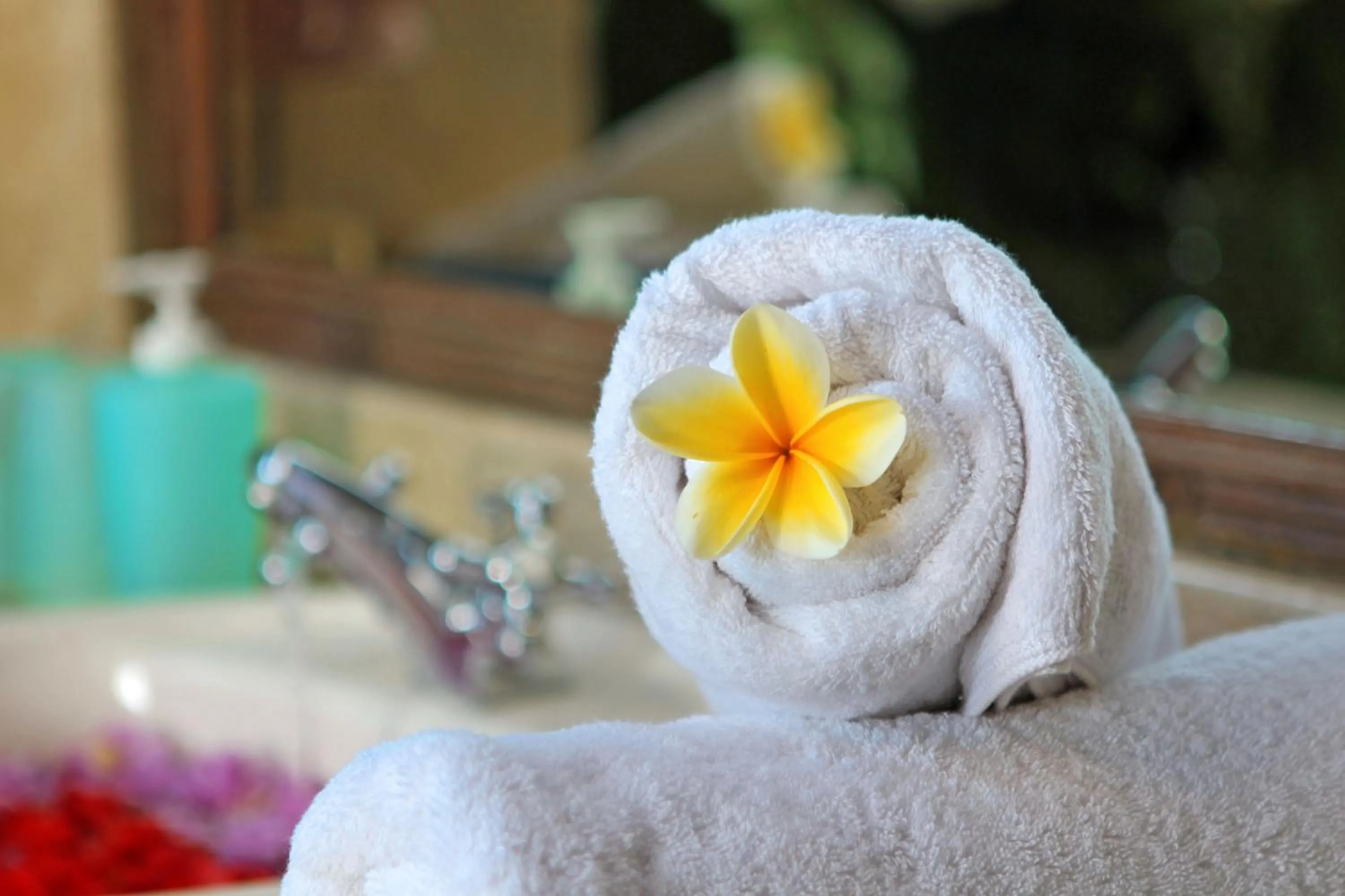 Bathroom in The Mahogany Villa Ubud