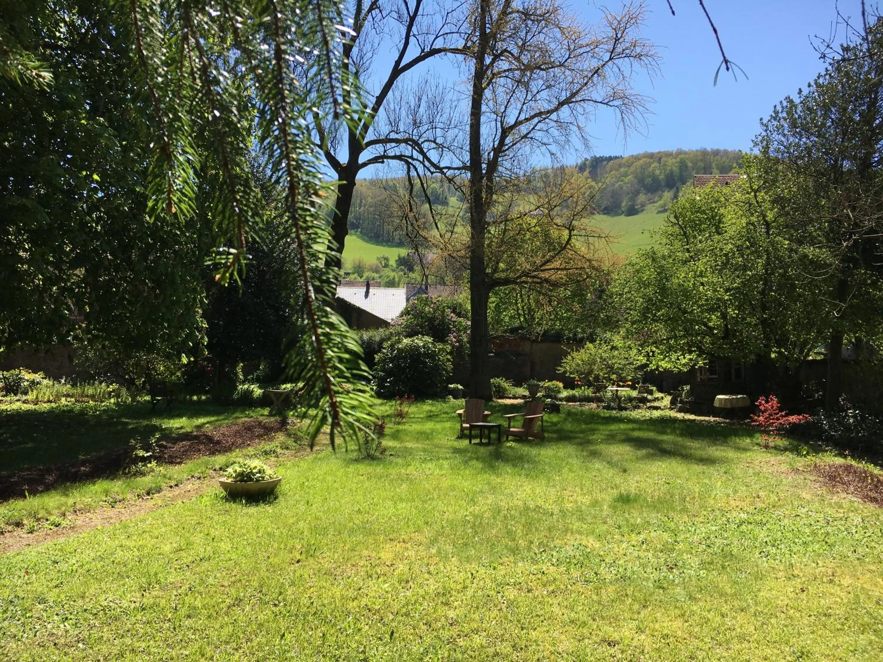 Garden in B&B La Clé d'Alsace