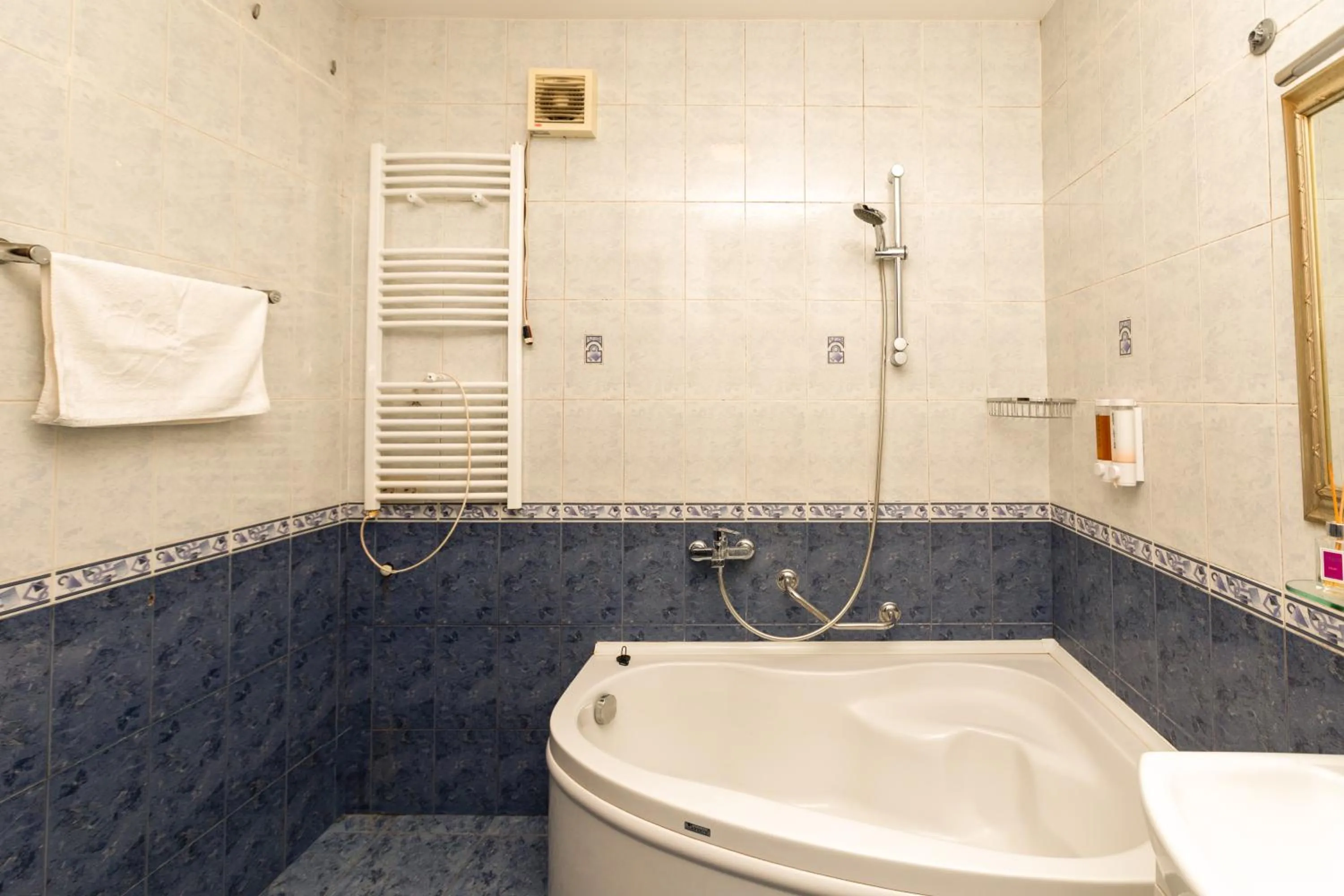 Shower in Hotel Griboedov
