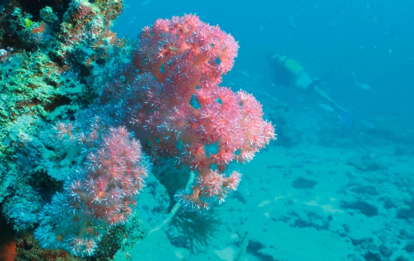 Natural landscape in Constance Tsarabanjina - All Inclusive