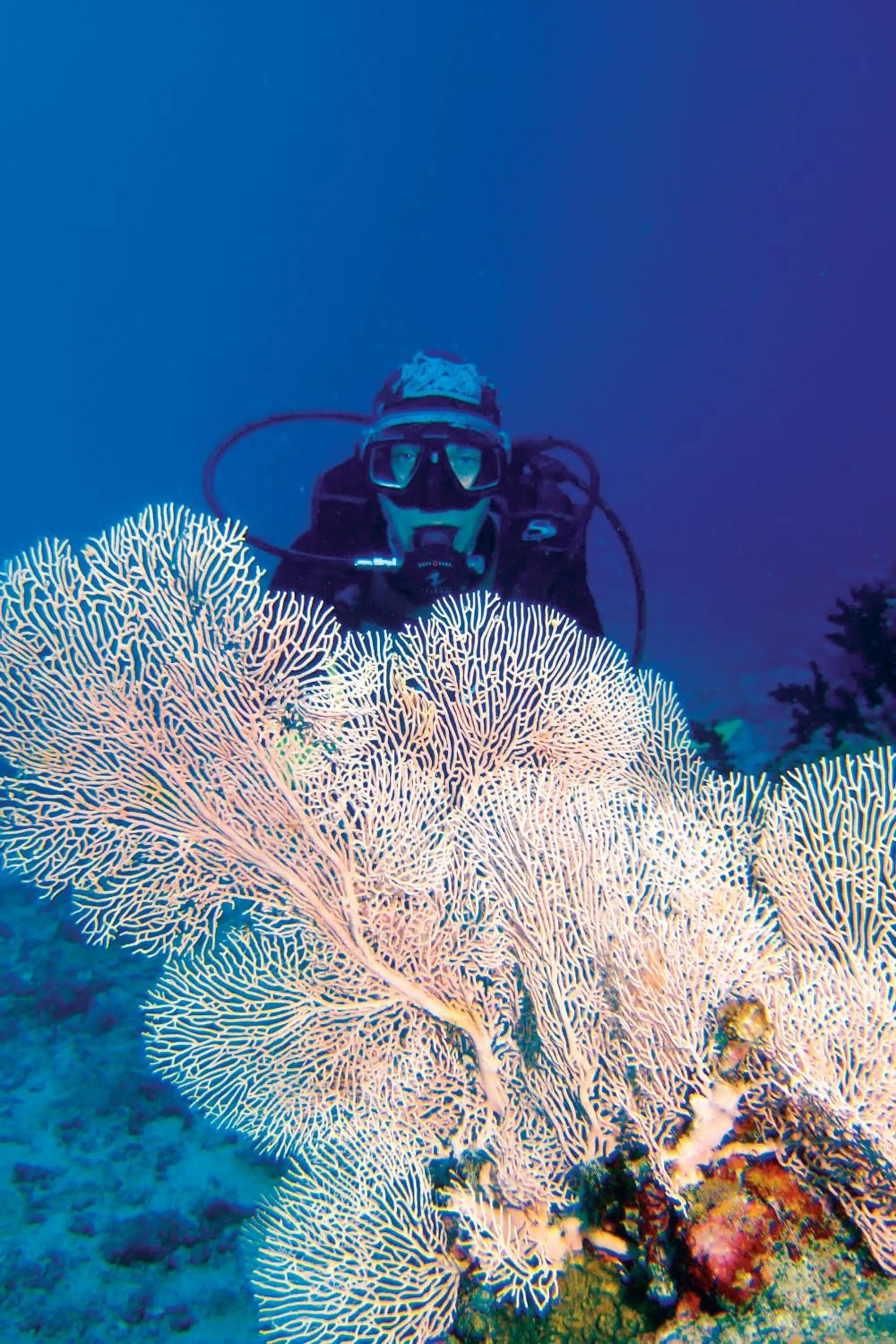 Diving in Constance Tsarabanjina - All Inclusive