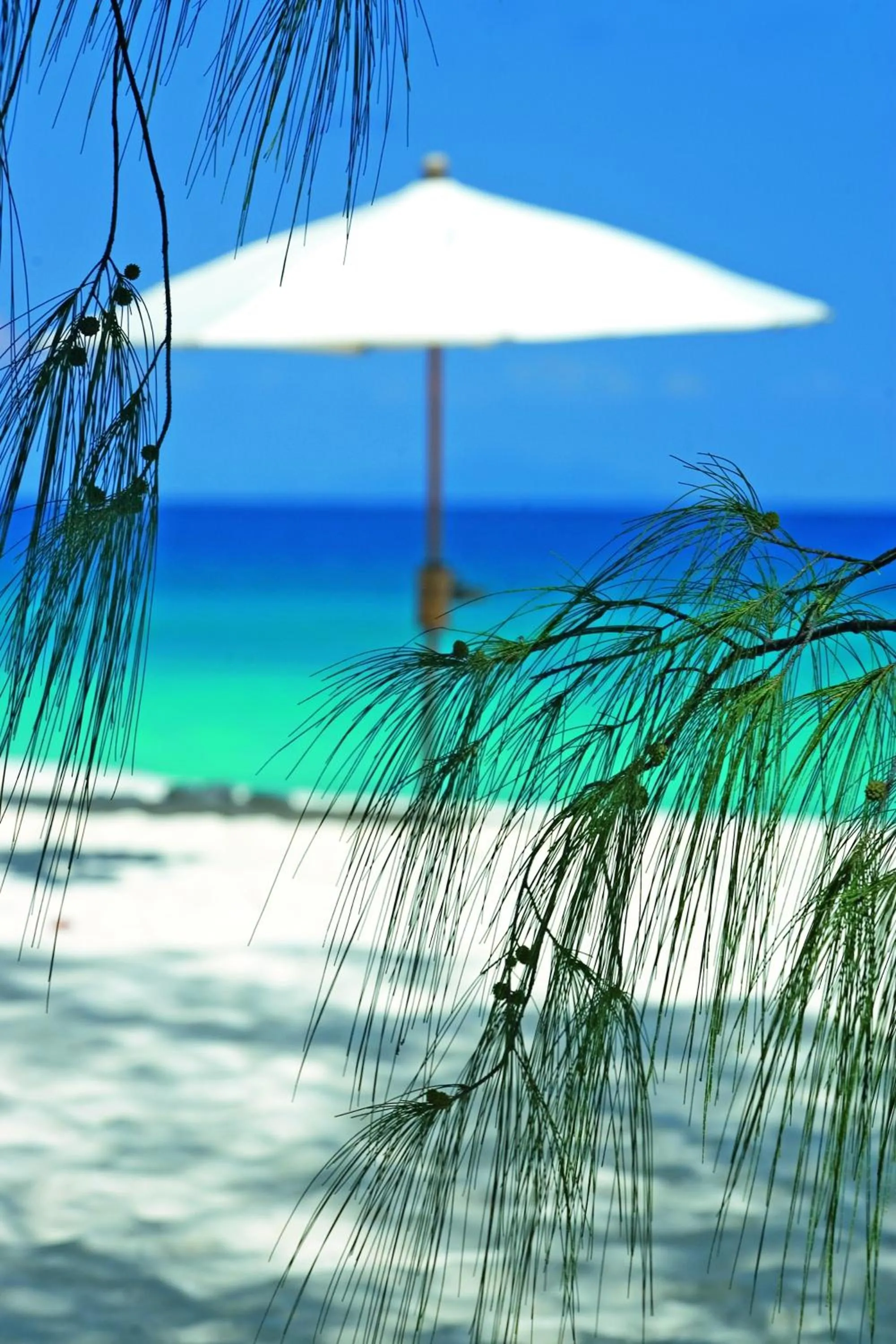 Beach in Constance Tsarabanjina - All Inclusive