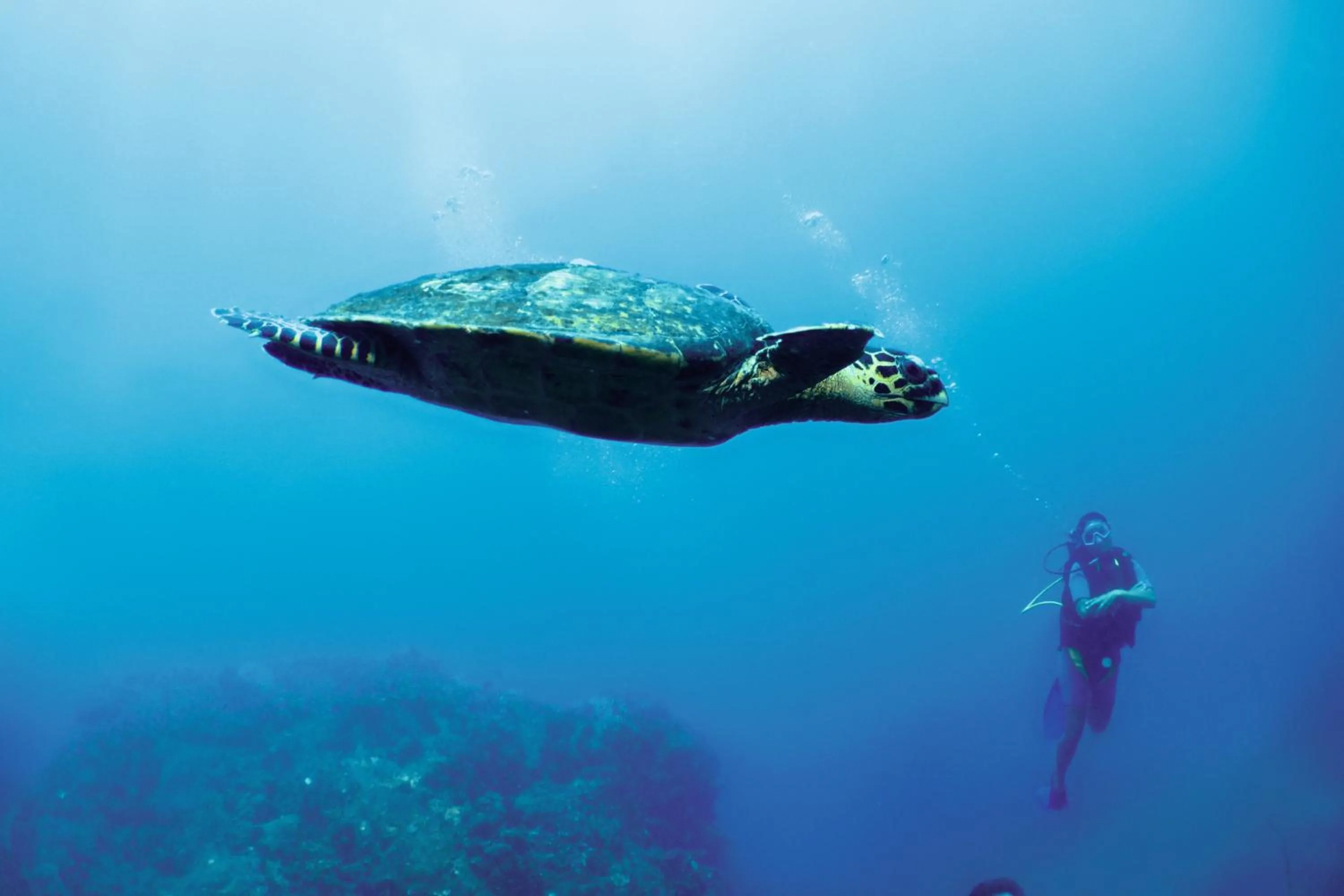 Diving in Constance Tsarabanjina - All Inclusive