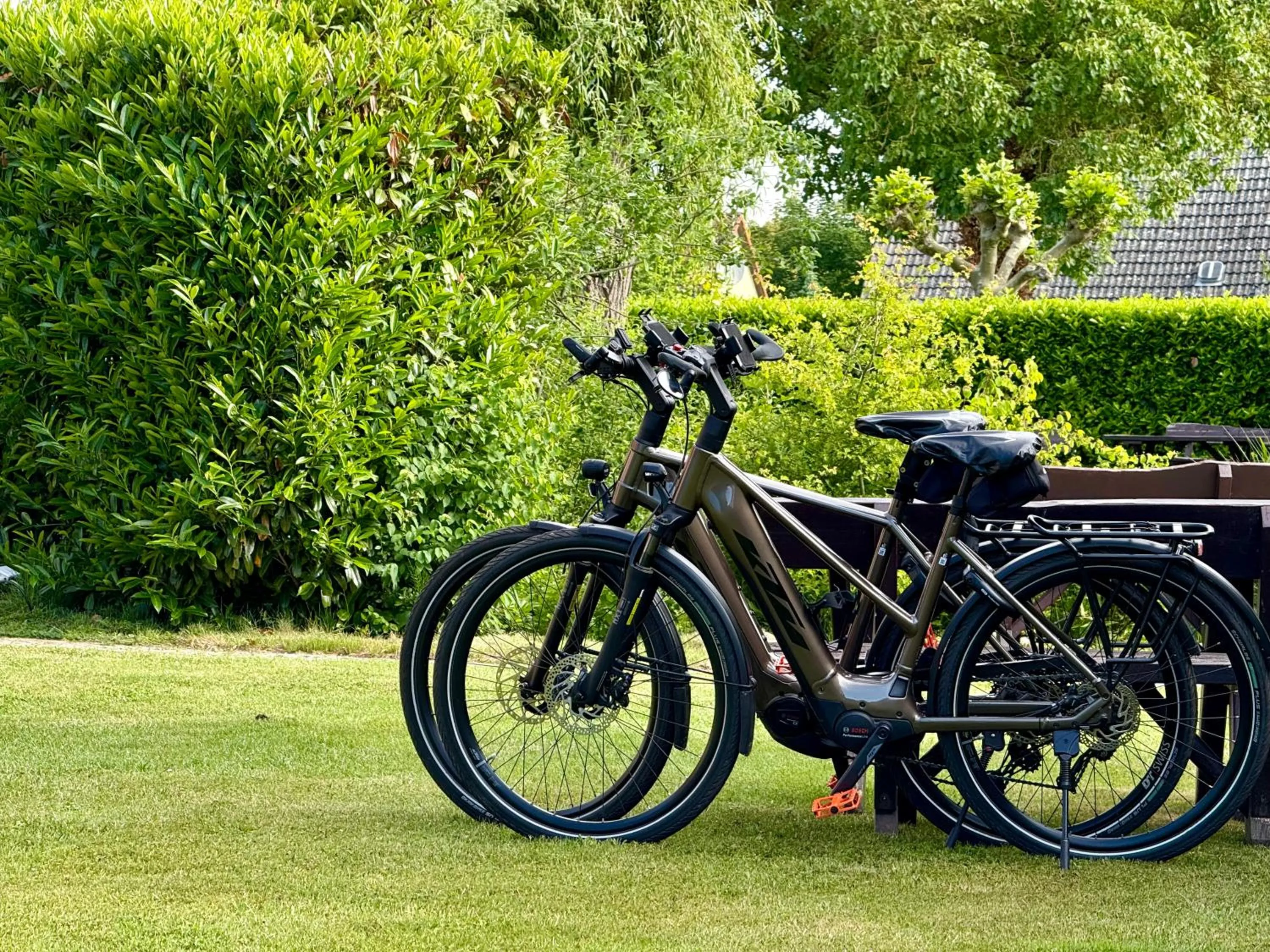Garden in Landhotel Zur Schmiede